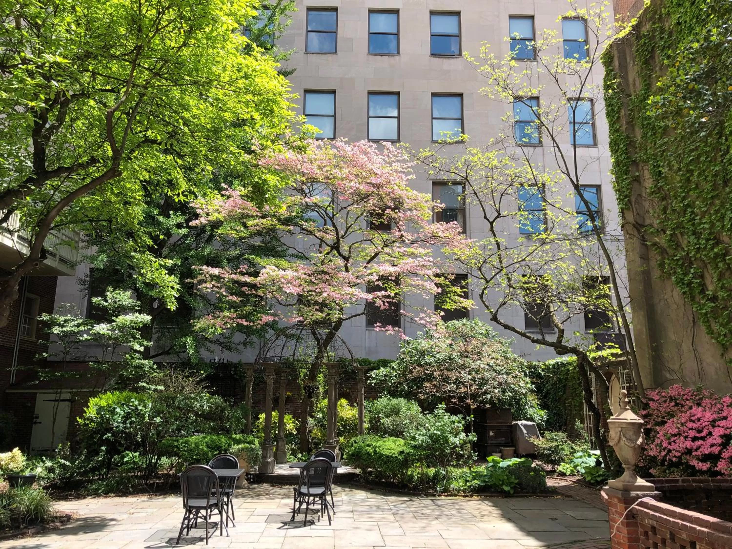 Garden in Morris House Hotel