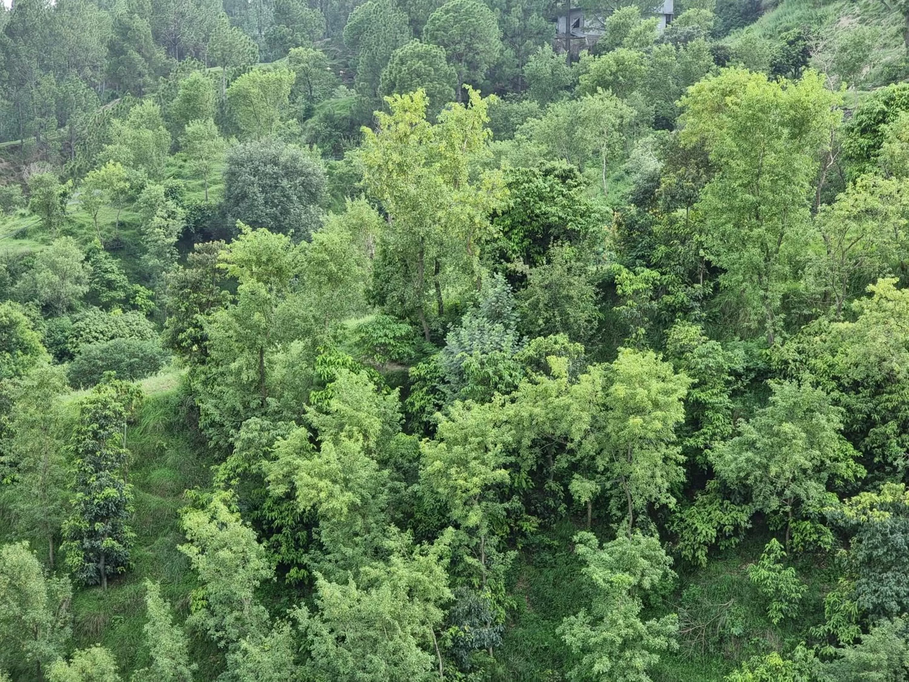 Neighbourhood in Srinagar Homes