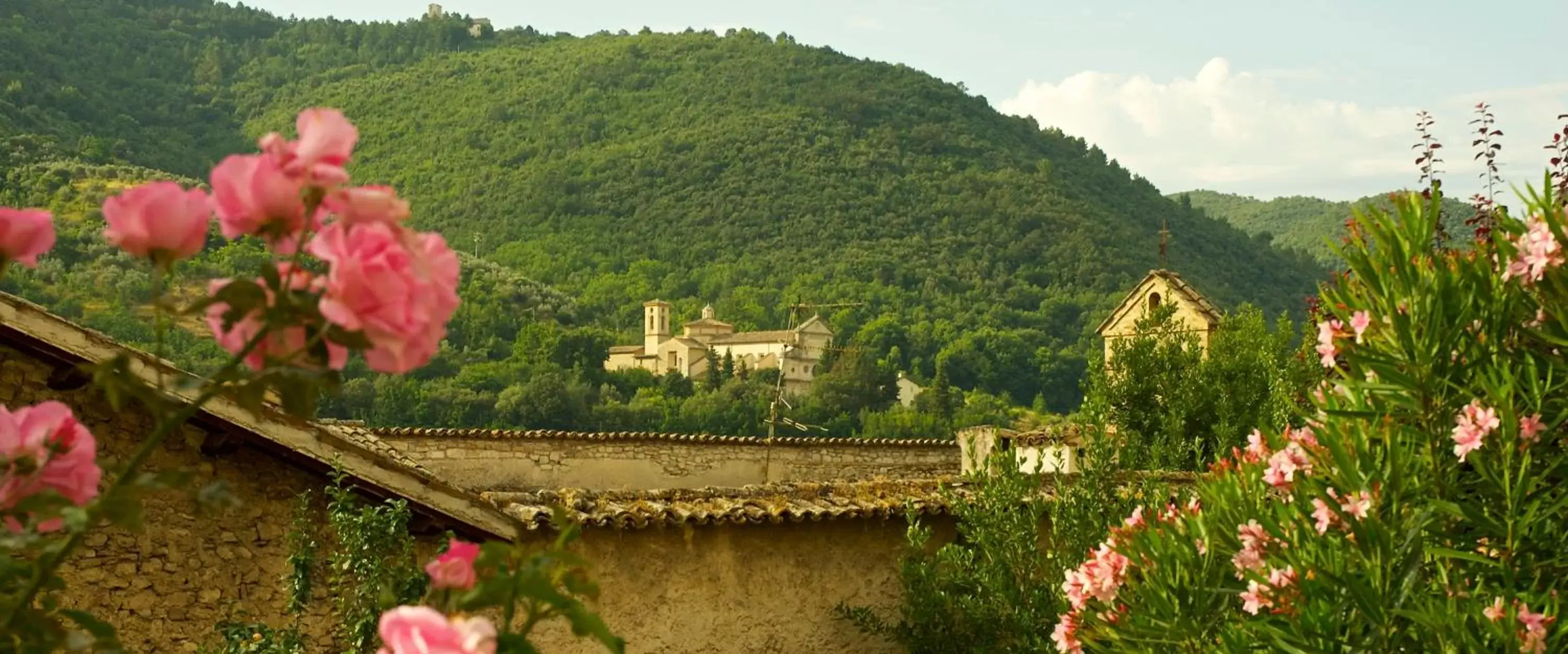 Garden view in Palazzo Sant'Angelo