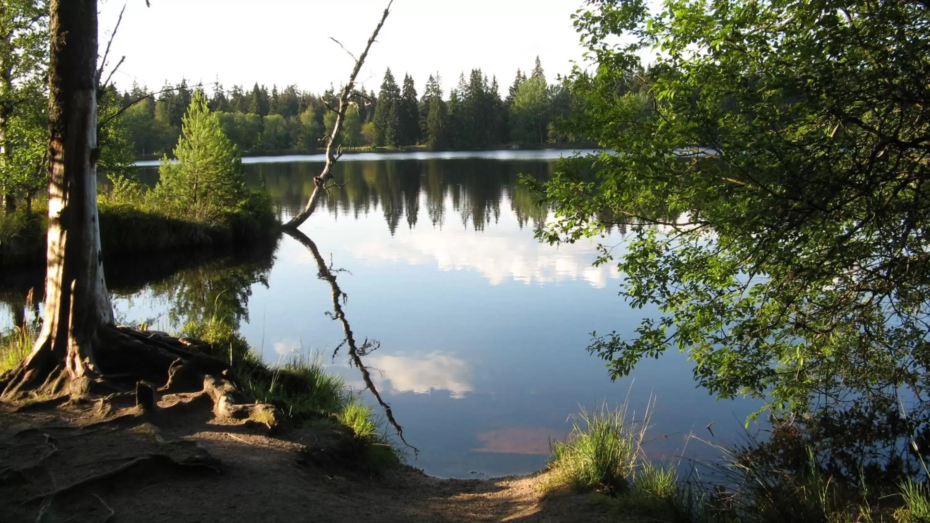 Lake View in Spa Hotel Devin