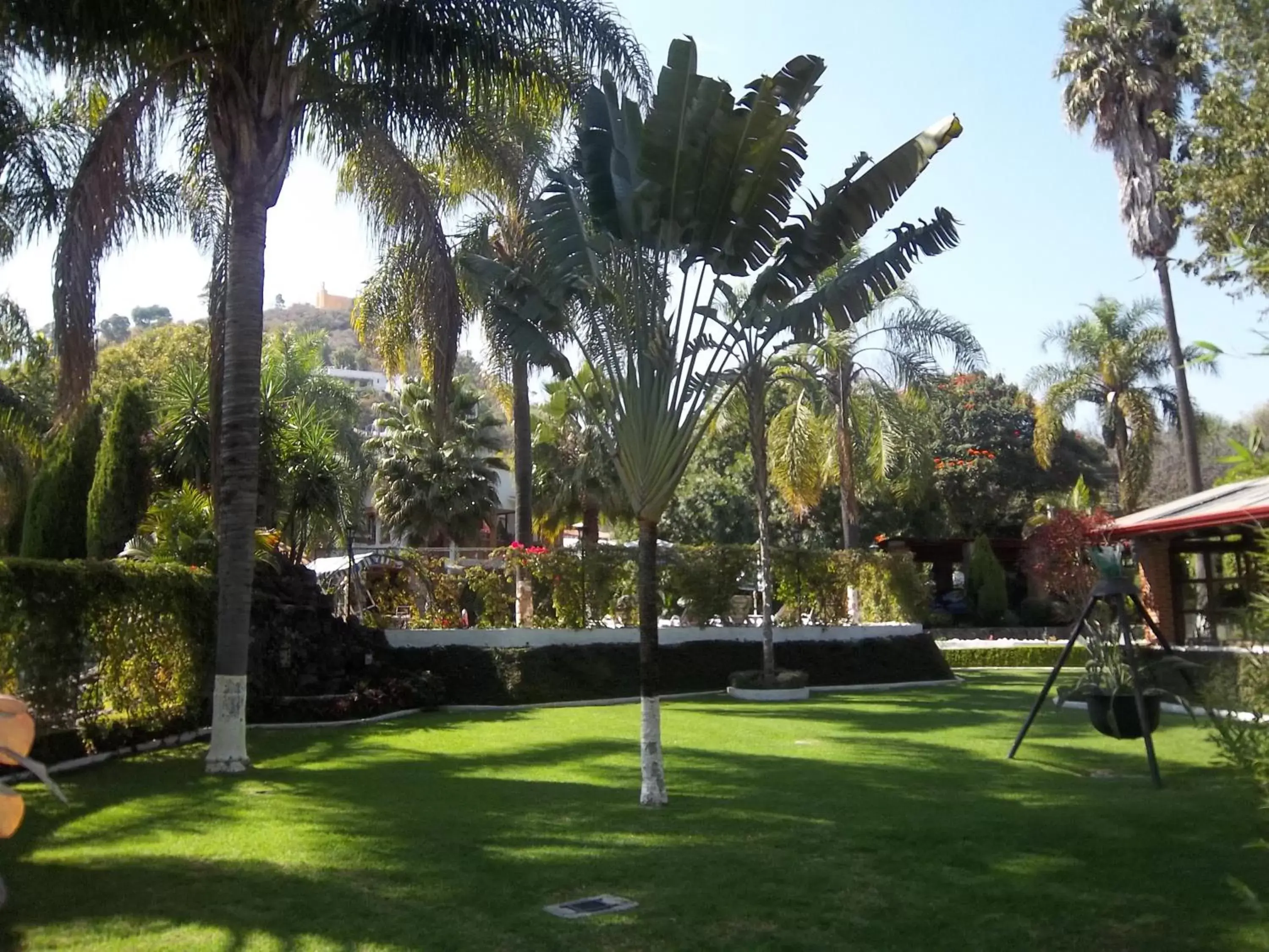 Garden in Posada Los Alcatraces