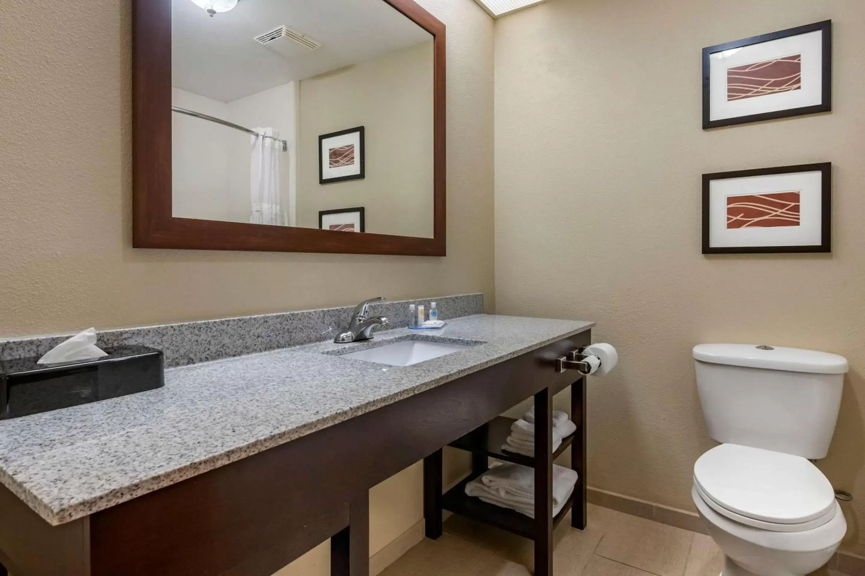 Photo of the whole room, Bathroom in Comfort Inn & Suites DeLand - near University