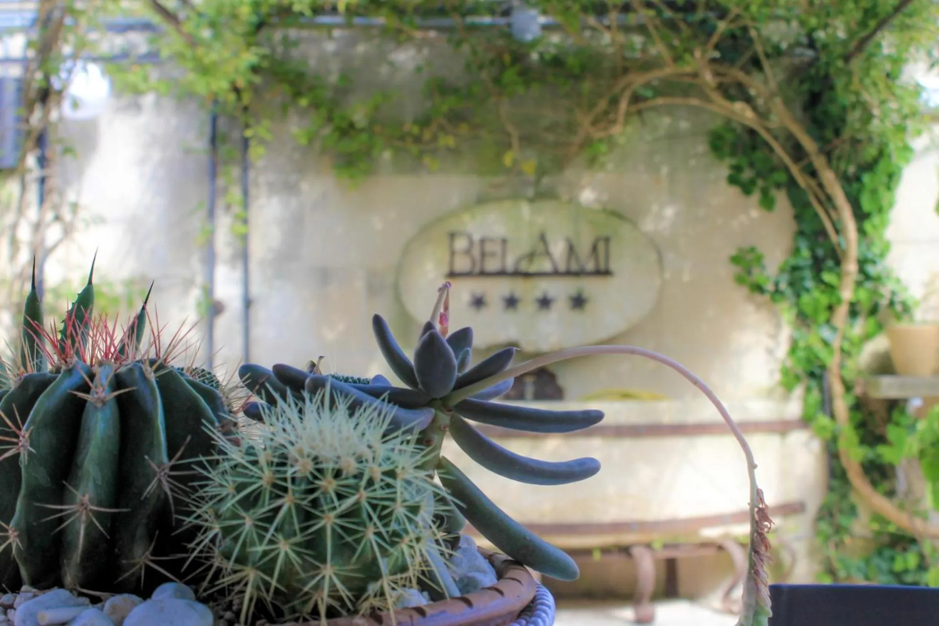 Logo/Certificate/Sign in Hotel Belami