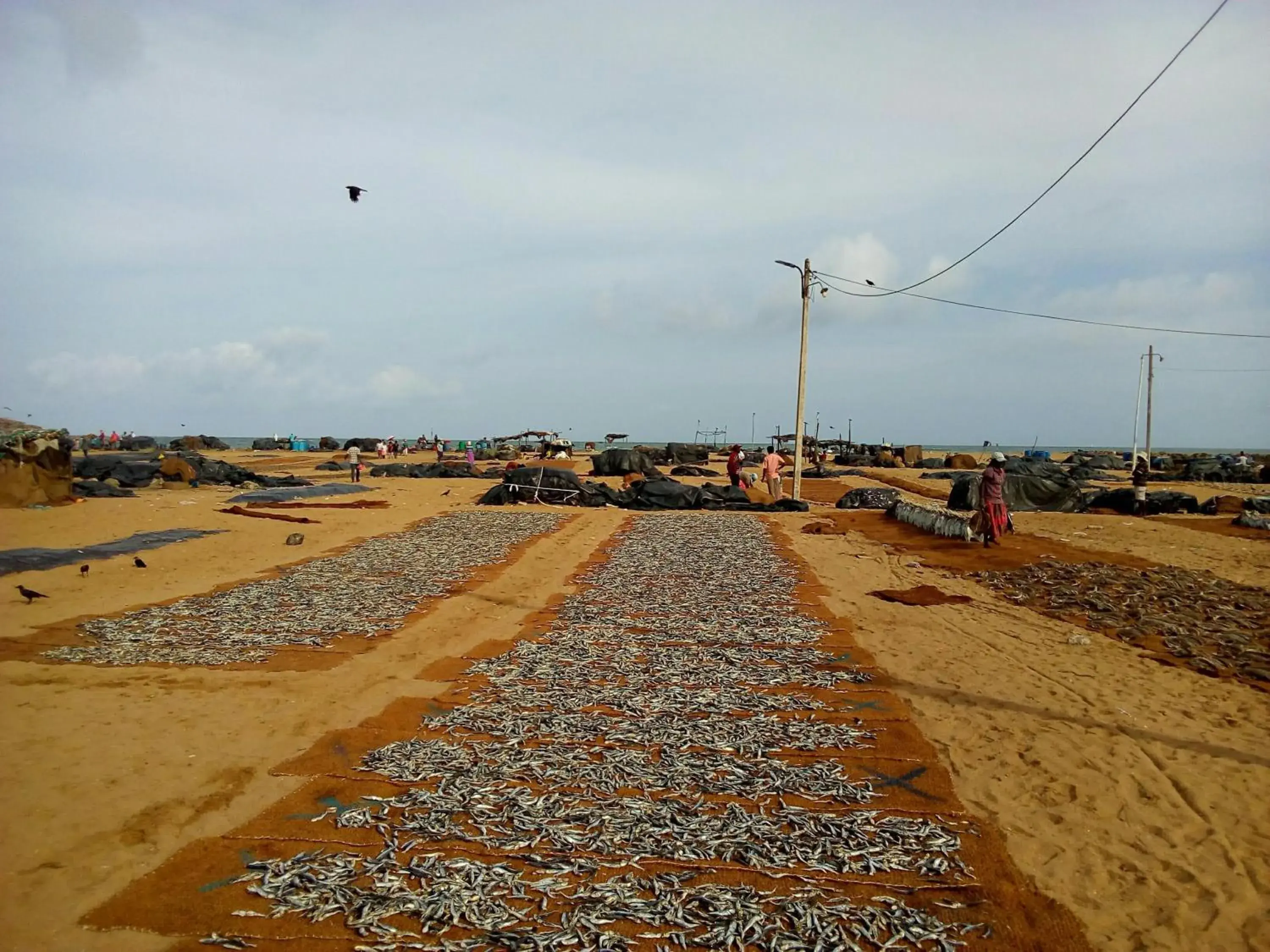 Natural landscape in Randi Homestay