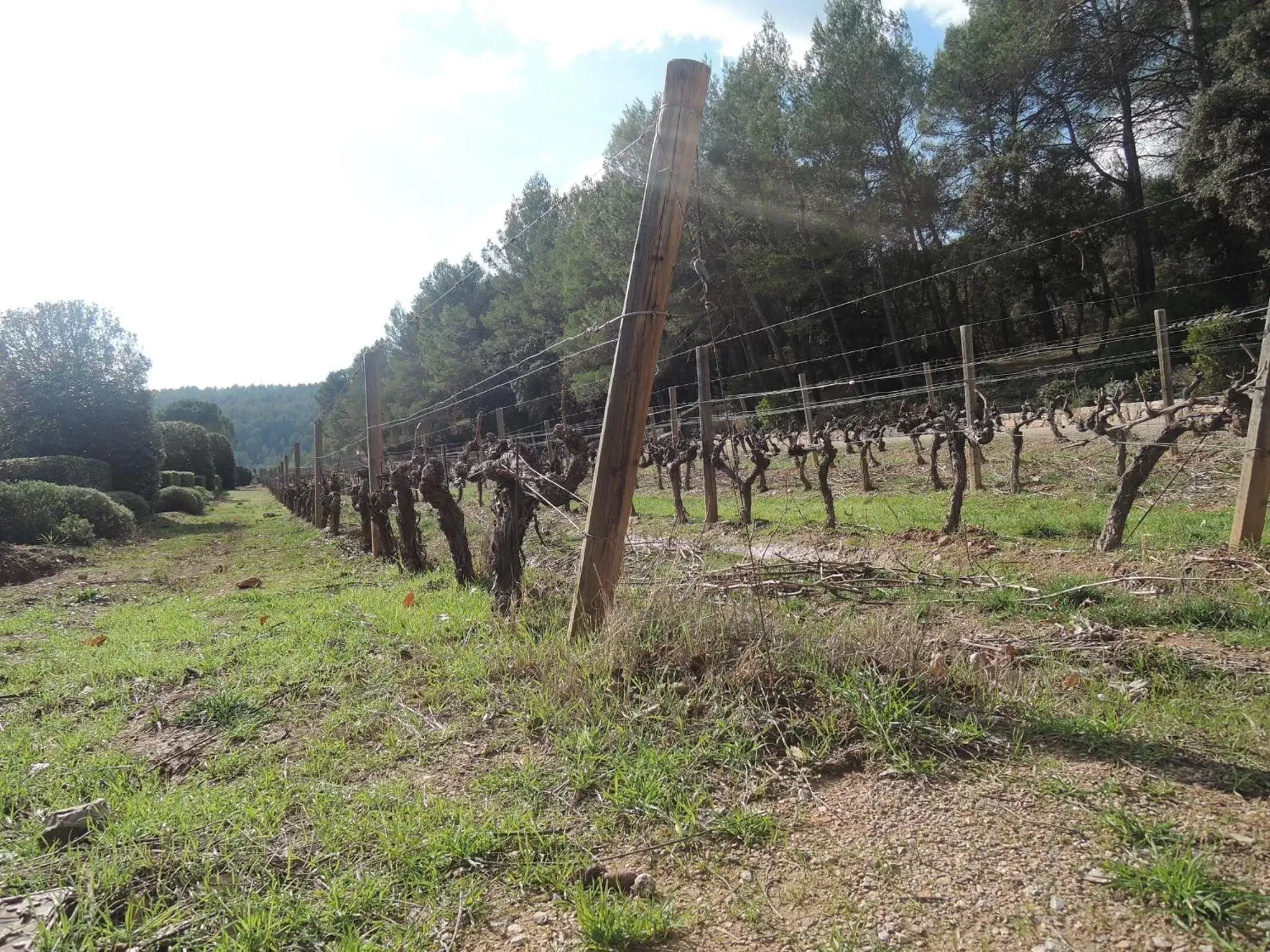 Natural landscape in Le Petit Paradis - La Provençale