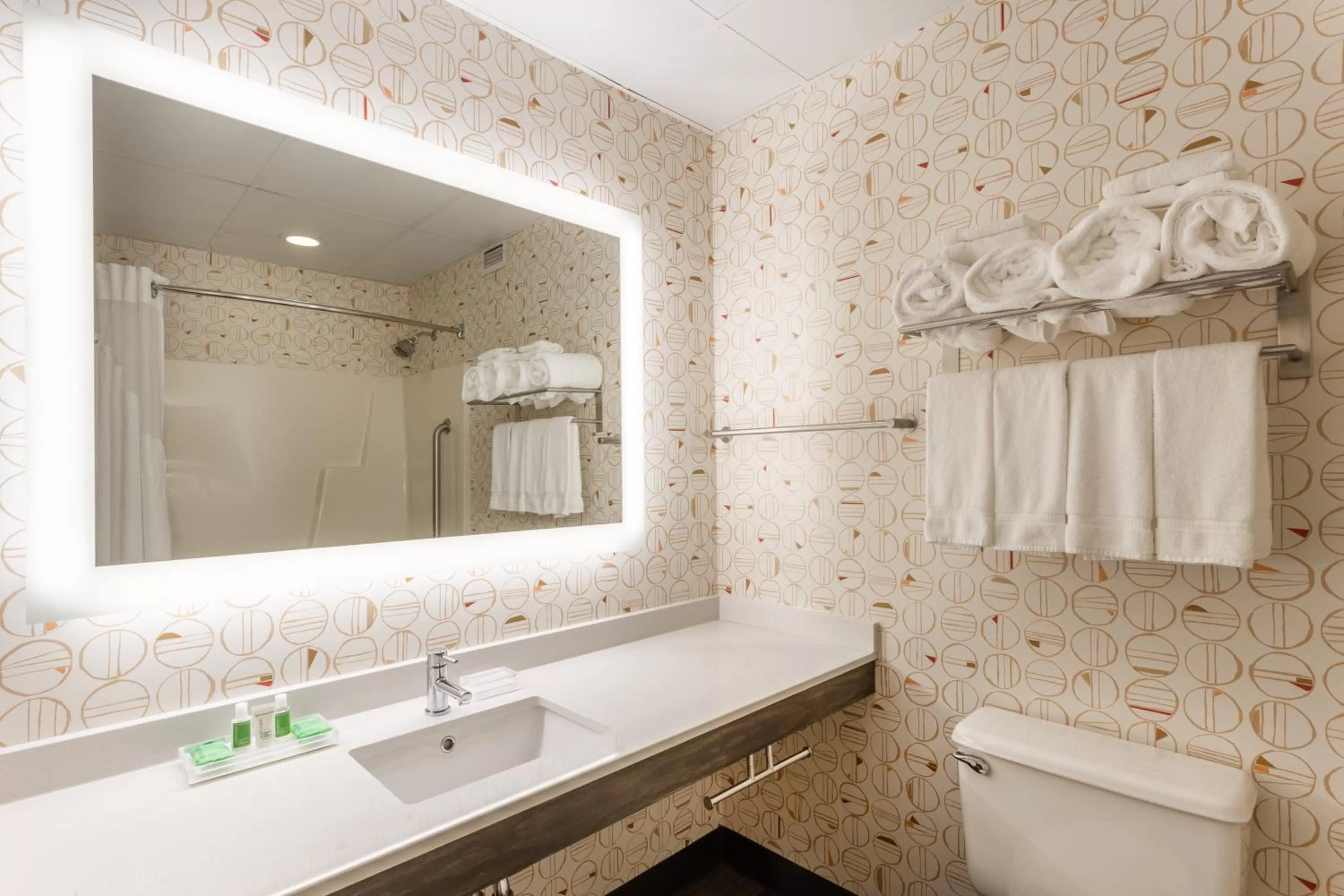 Bathroom in Holiday Inn Philadelphia South-Swedesboro by IHG