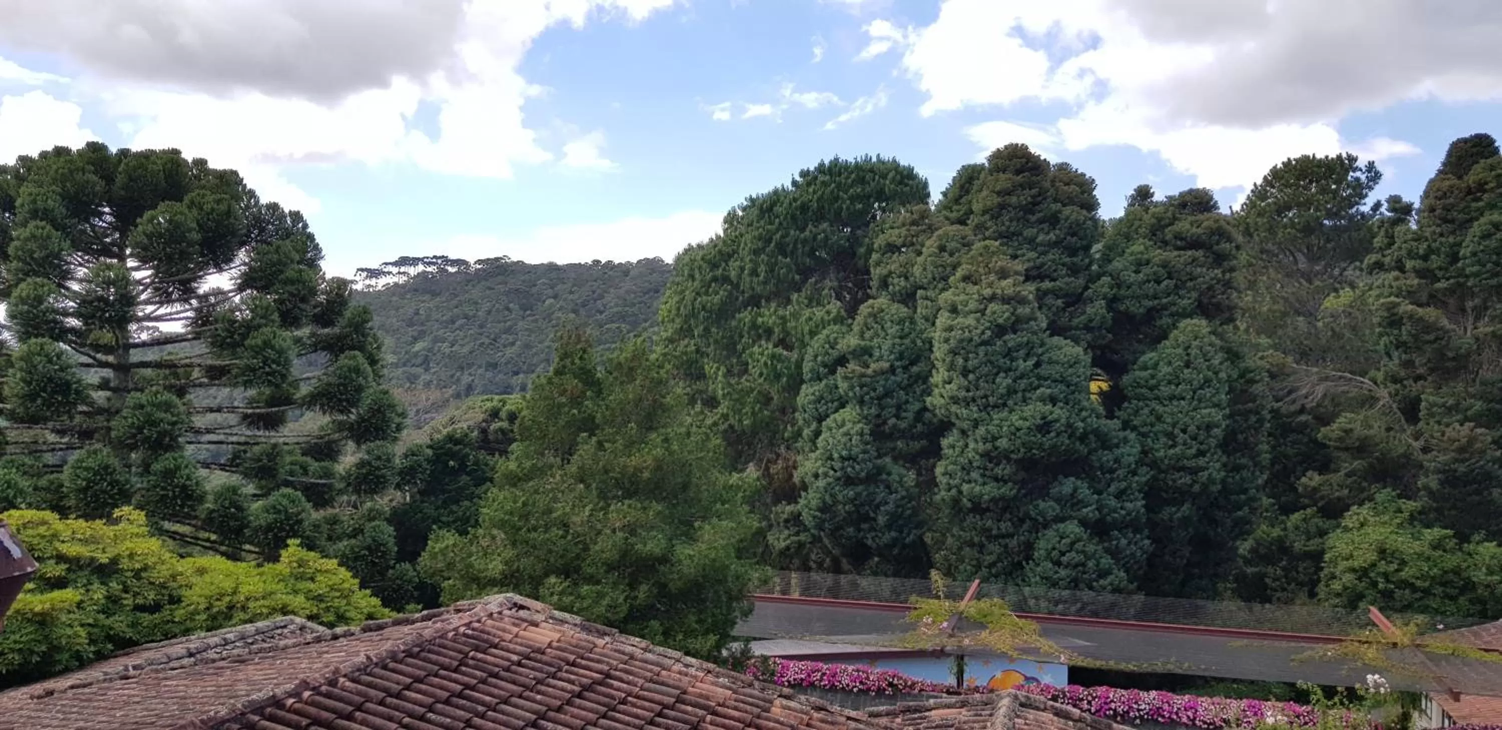 Garden in Hotel Toriba