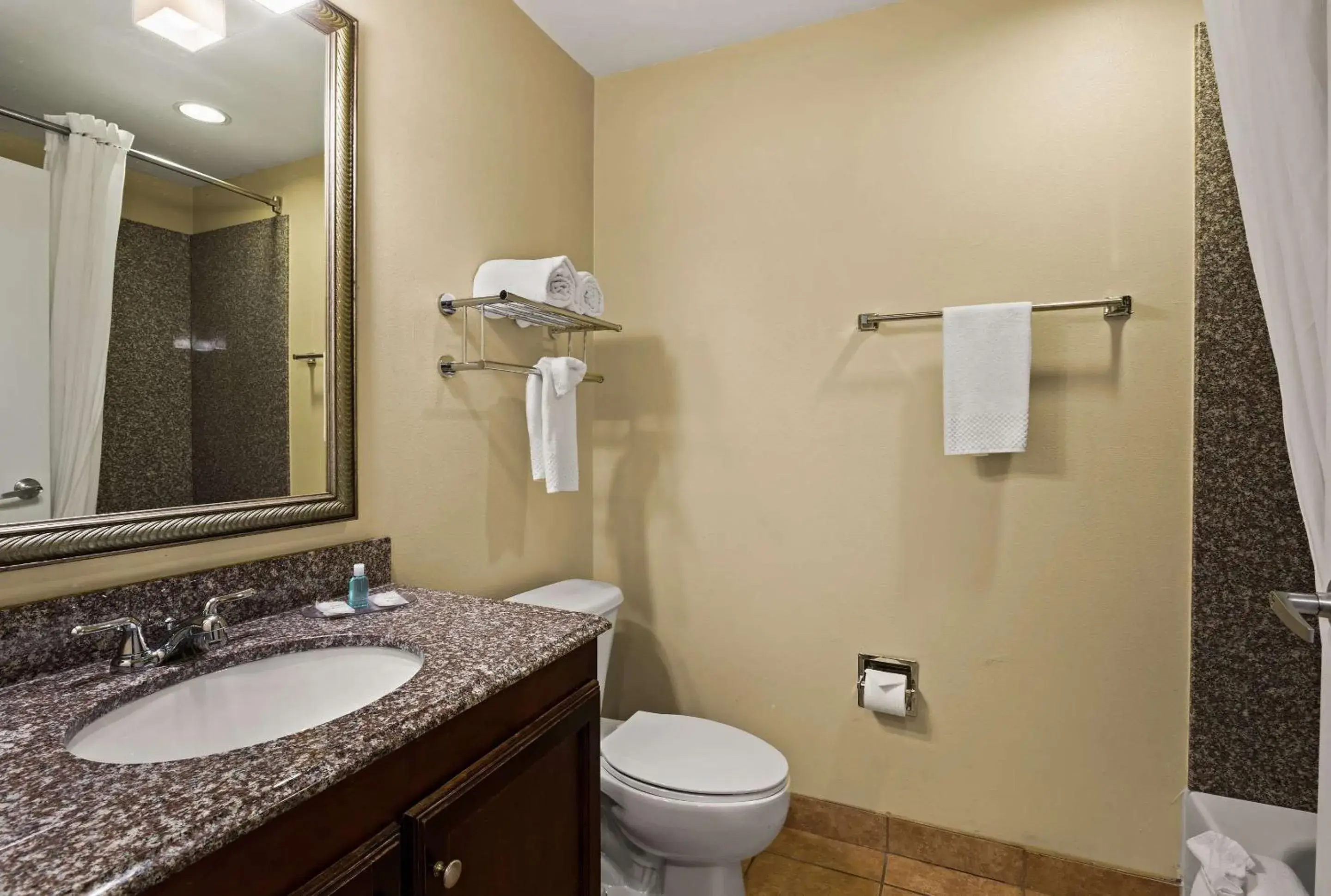 Bedroom, Bathroom in Mainstay Suites Houma