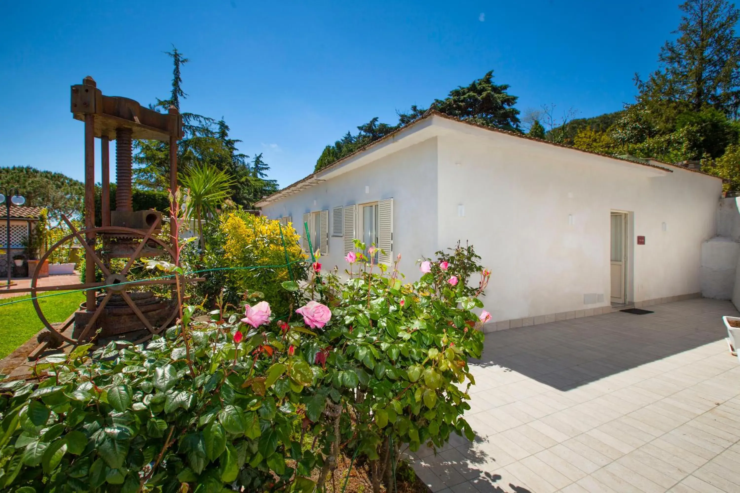 Garden, Property Building in Hotel O Sole Mio