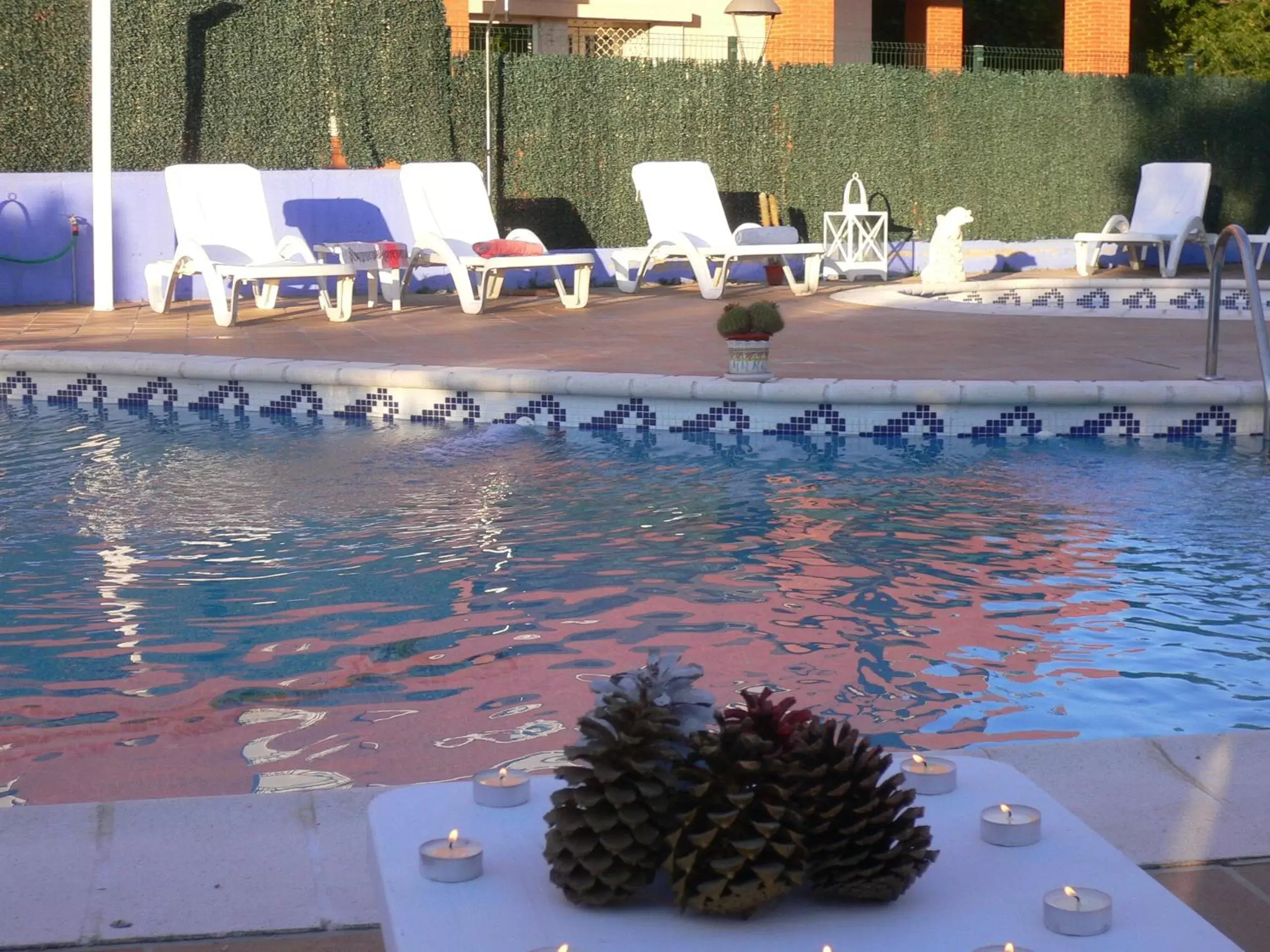 Garden view, Swimming Pool in Hotel Zeus