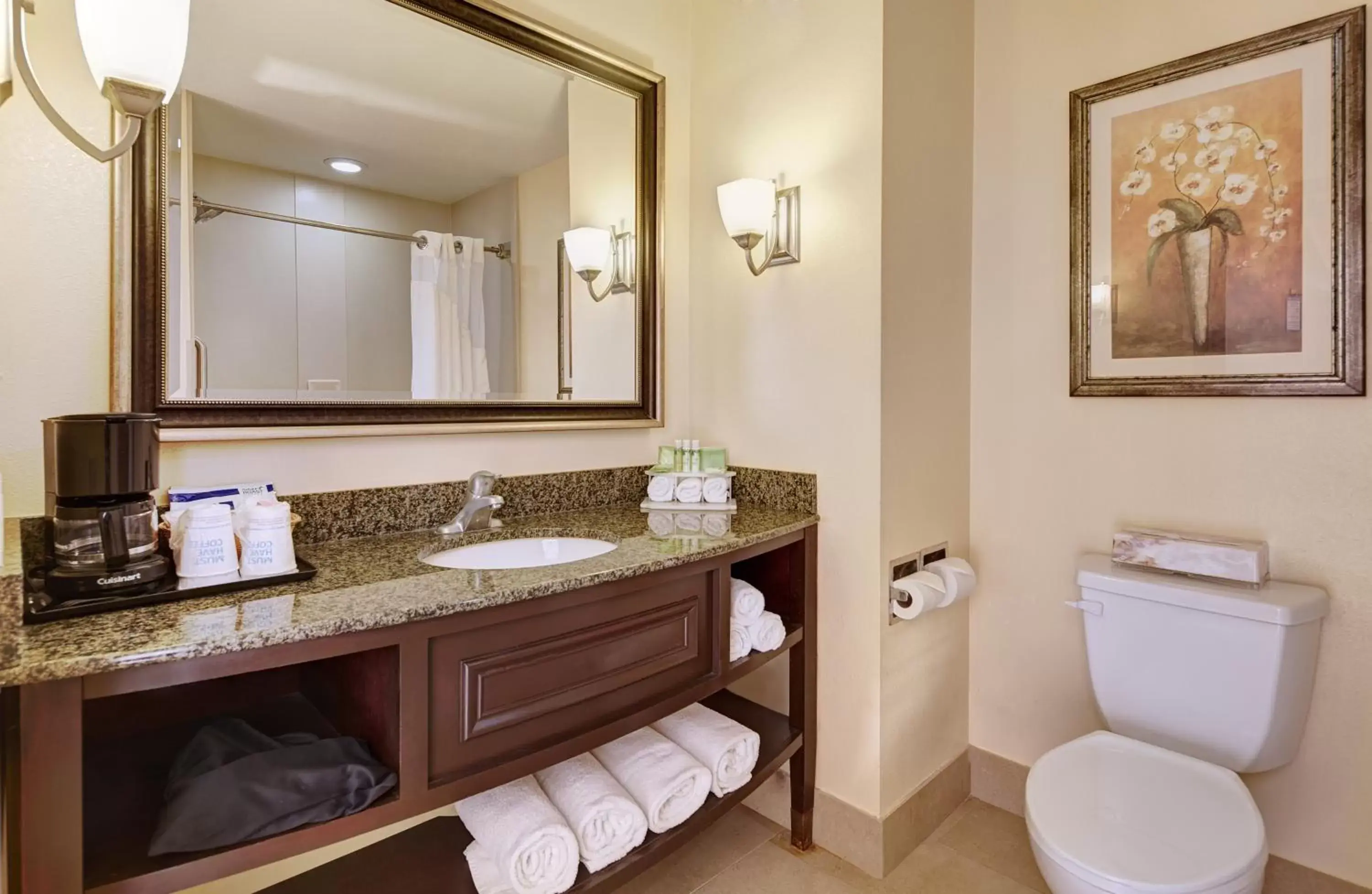 Toilet, Bathroom in Holiday Inn Express San Diego - Sorrento Valley, an IHG Hotel