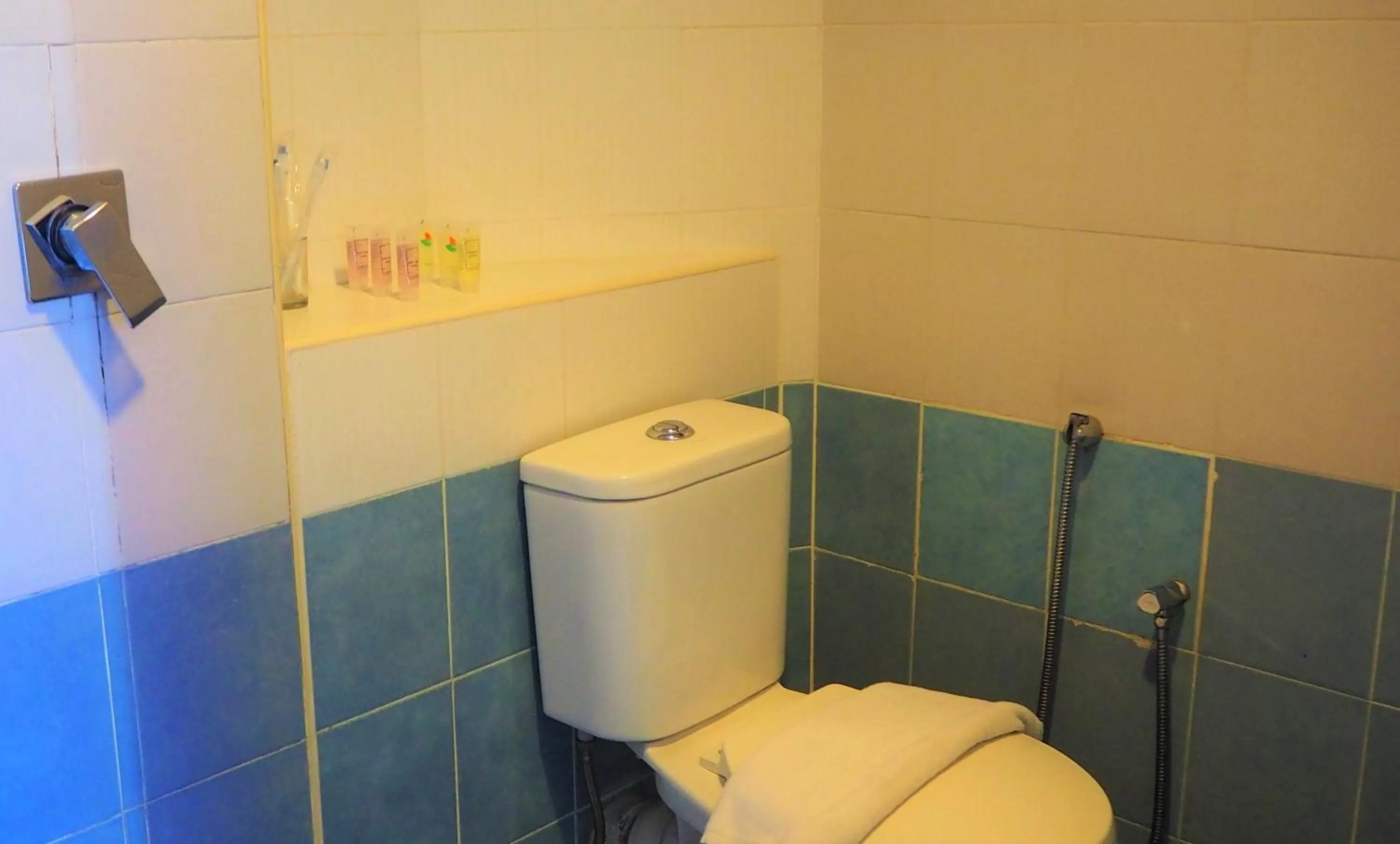 Toilet in Leo Palace Hotel Classic Wing, WTC Kuala Lumpur