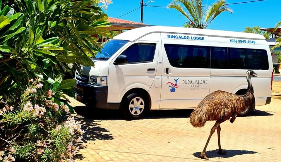 Ningaloo Lodge Exmouth