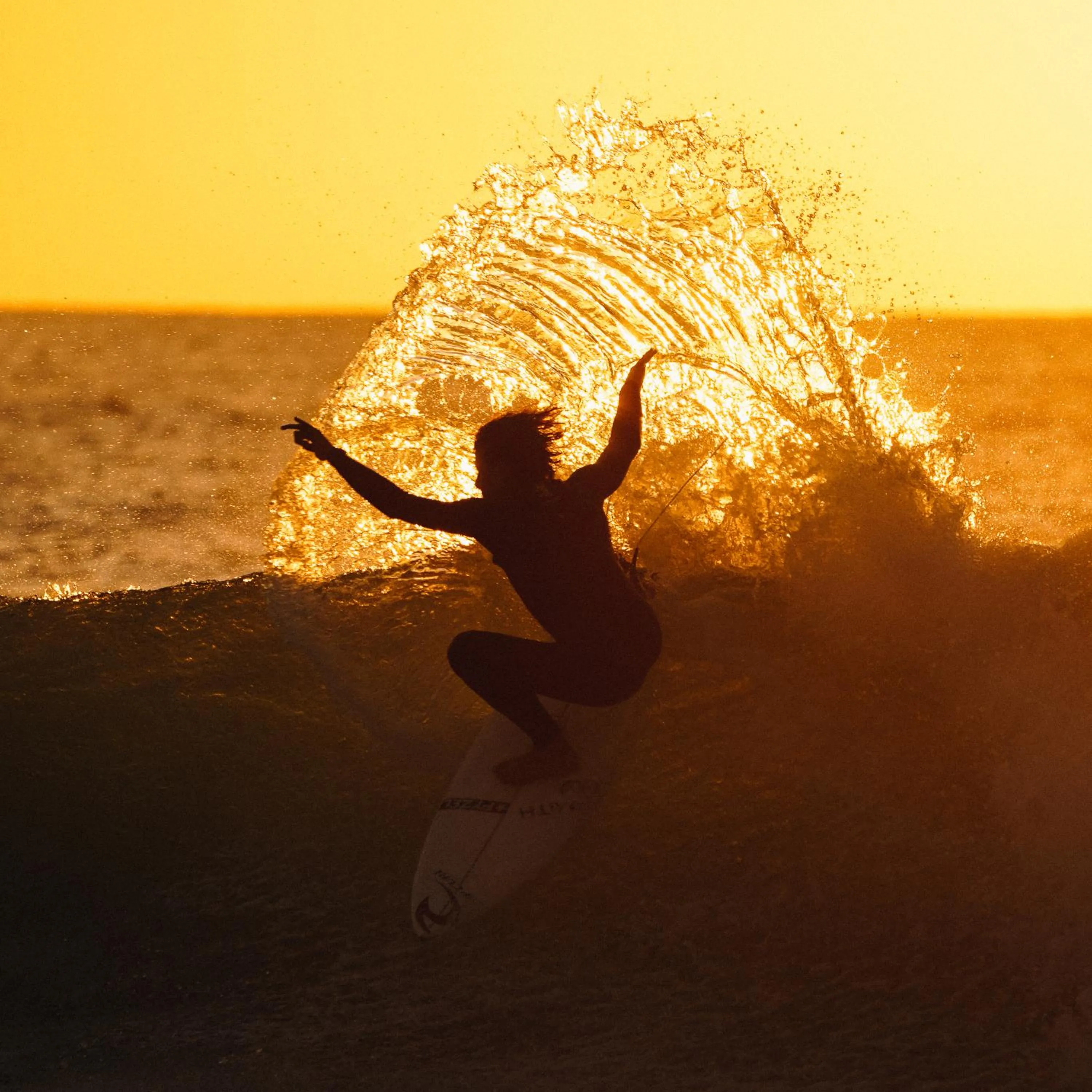 Activities in Hôtel Florida