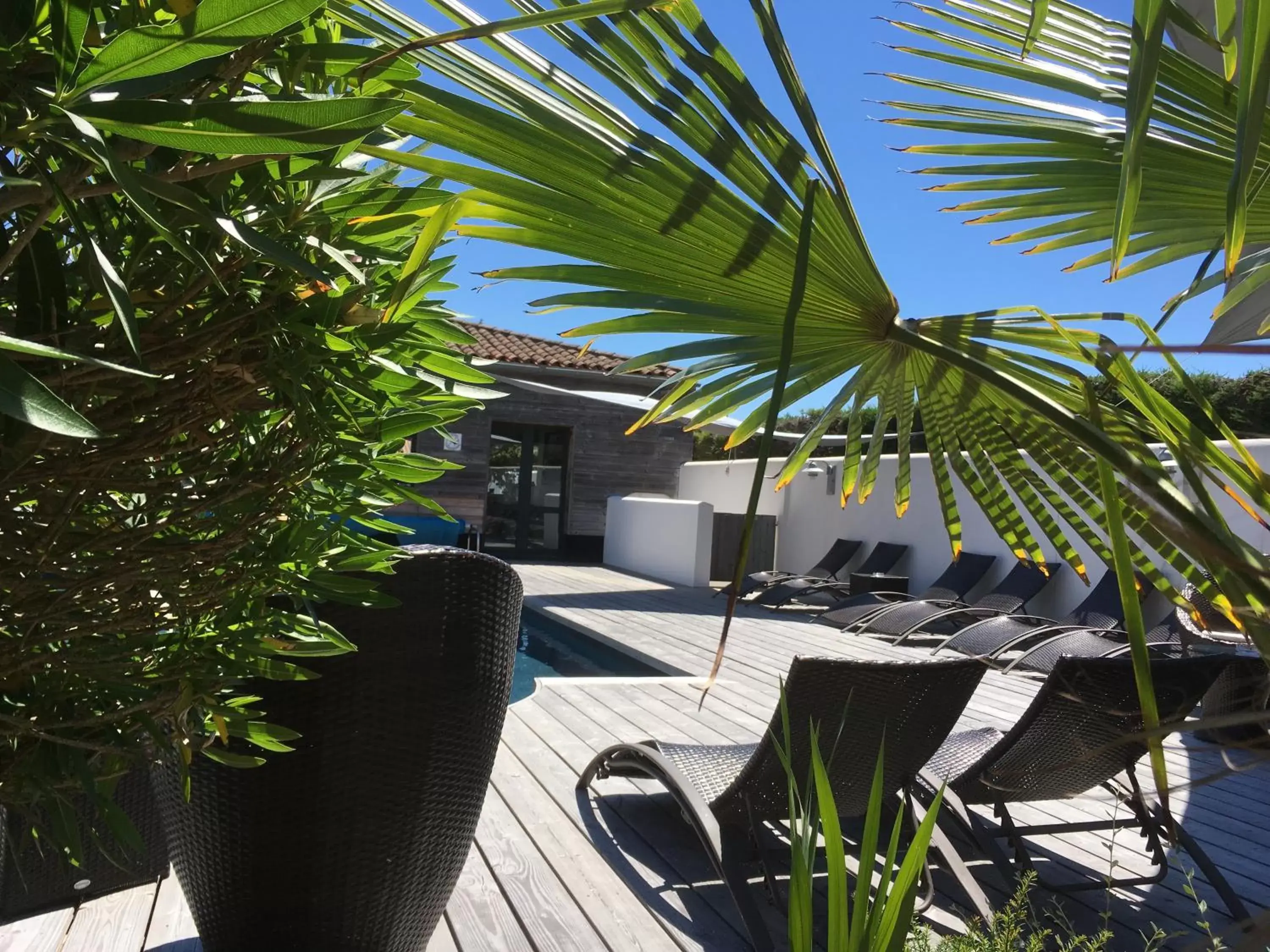 Swimming Pool in Elégance Suites Hôtel