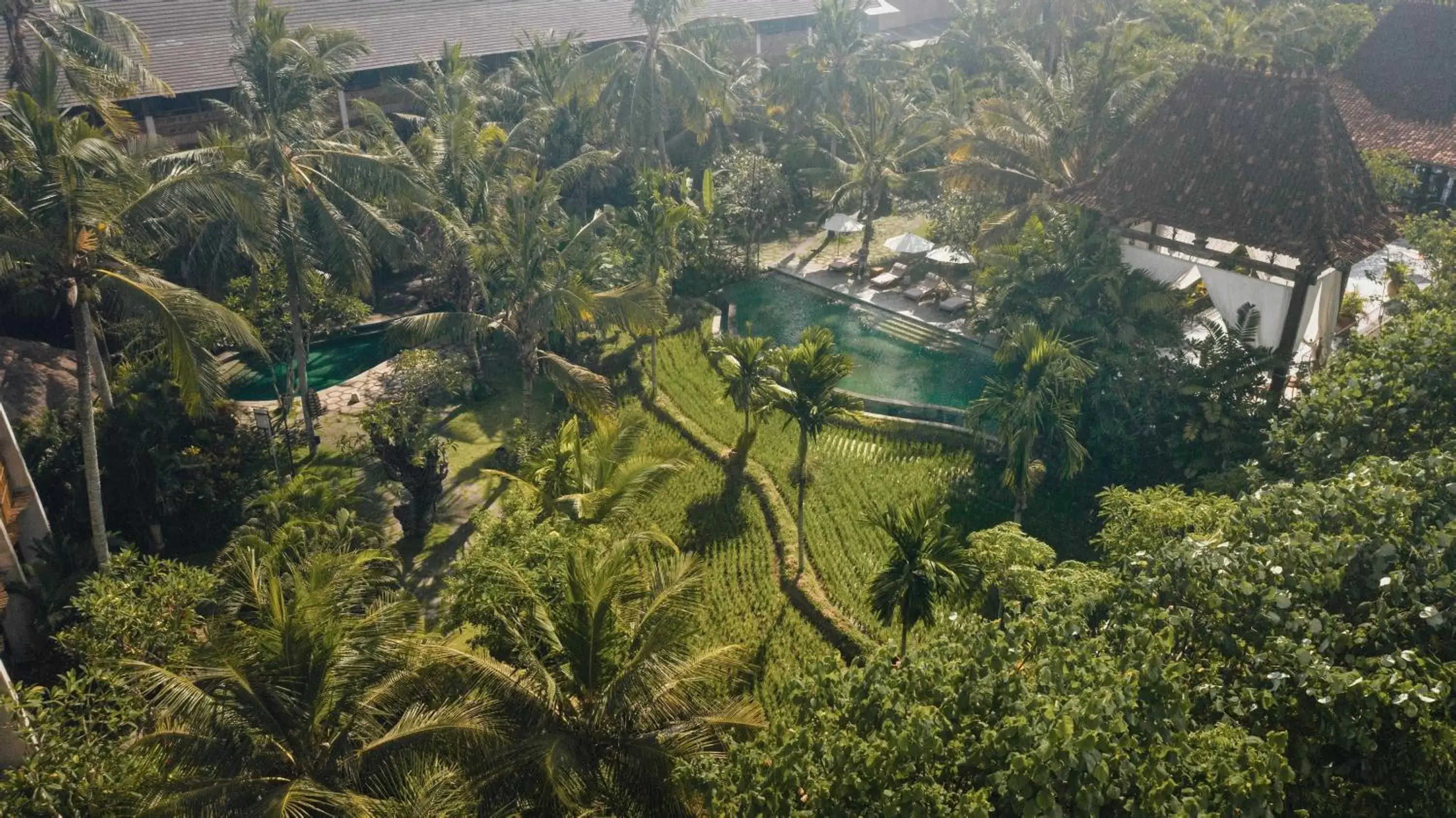 Property building, Bird's-eye View in Alaya Resort Ubud