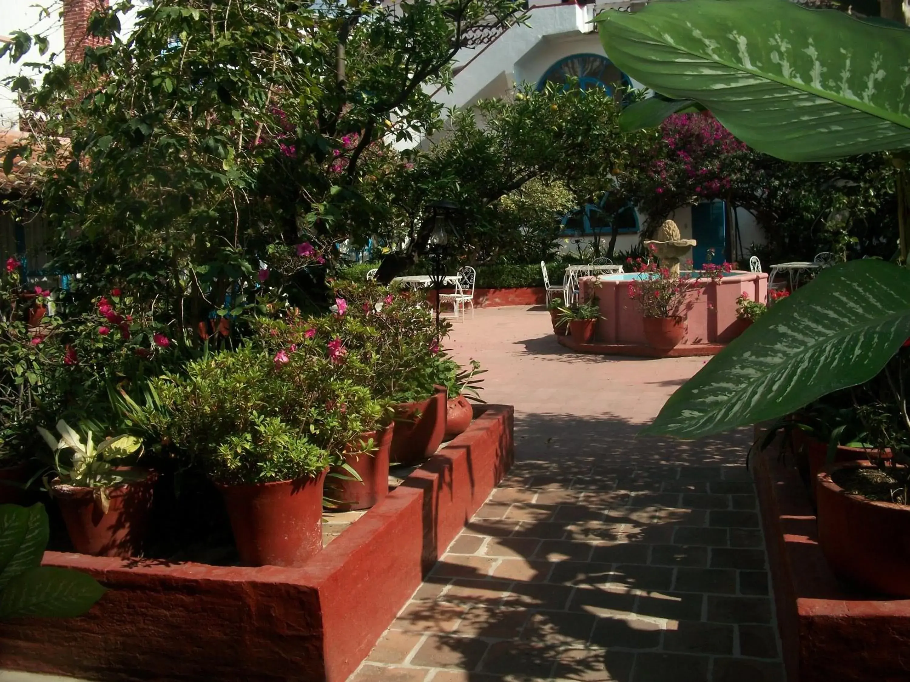 Garden in Hotel Santa Prisca