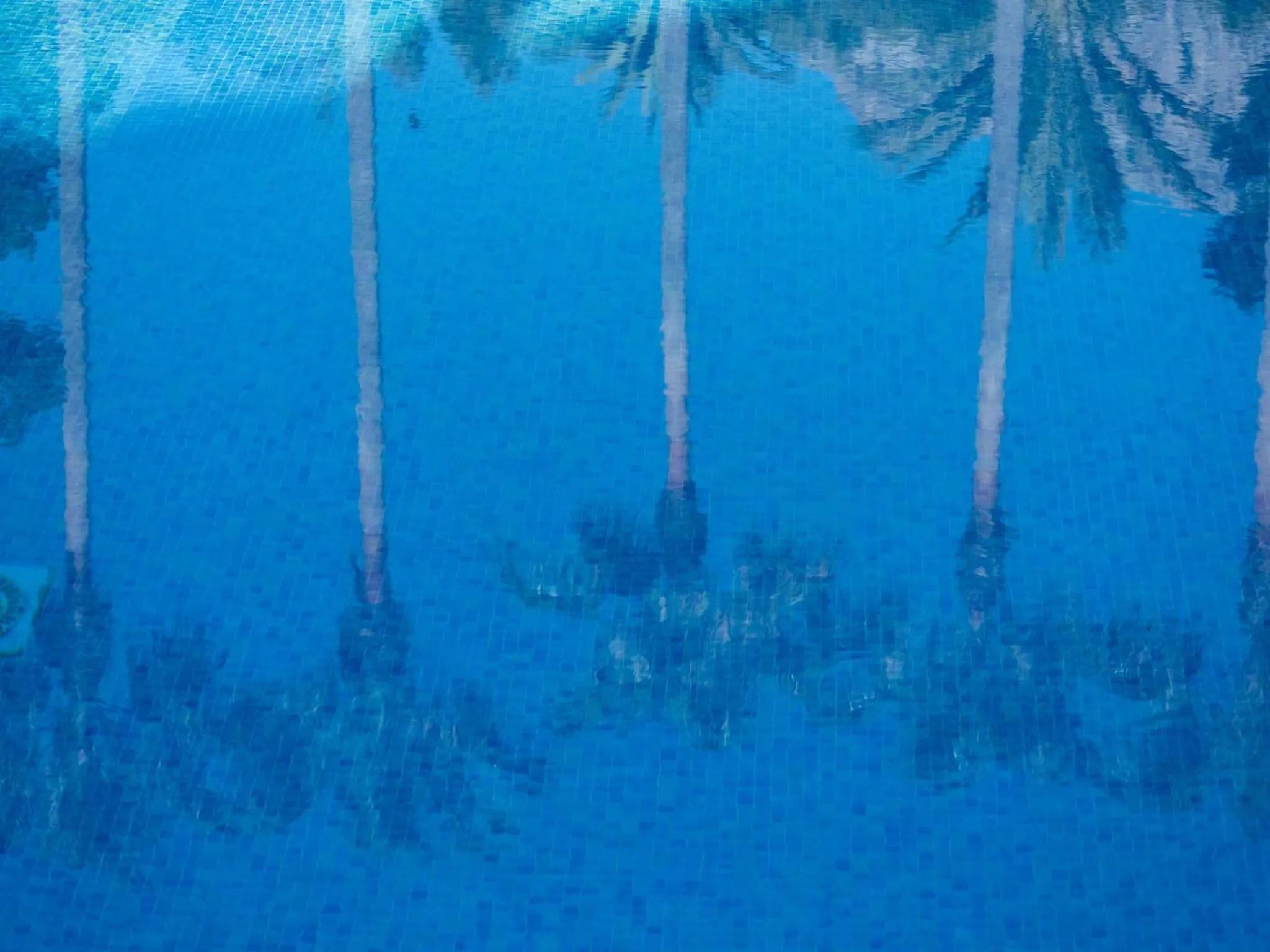 Decorative detail in Hotel Cala Sant Vicenç - Adults Only