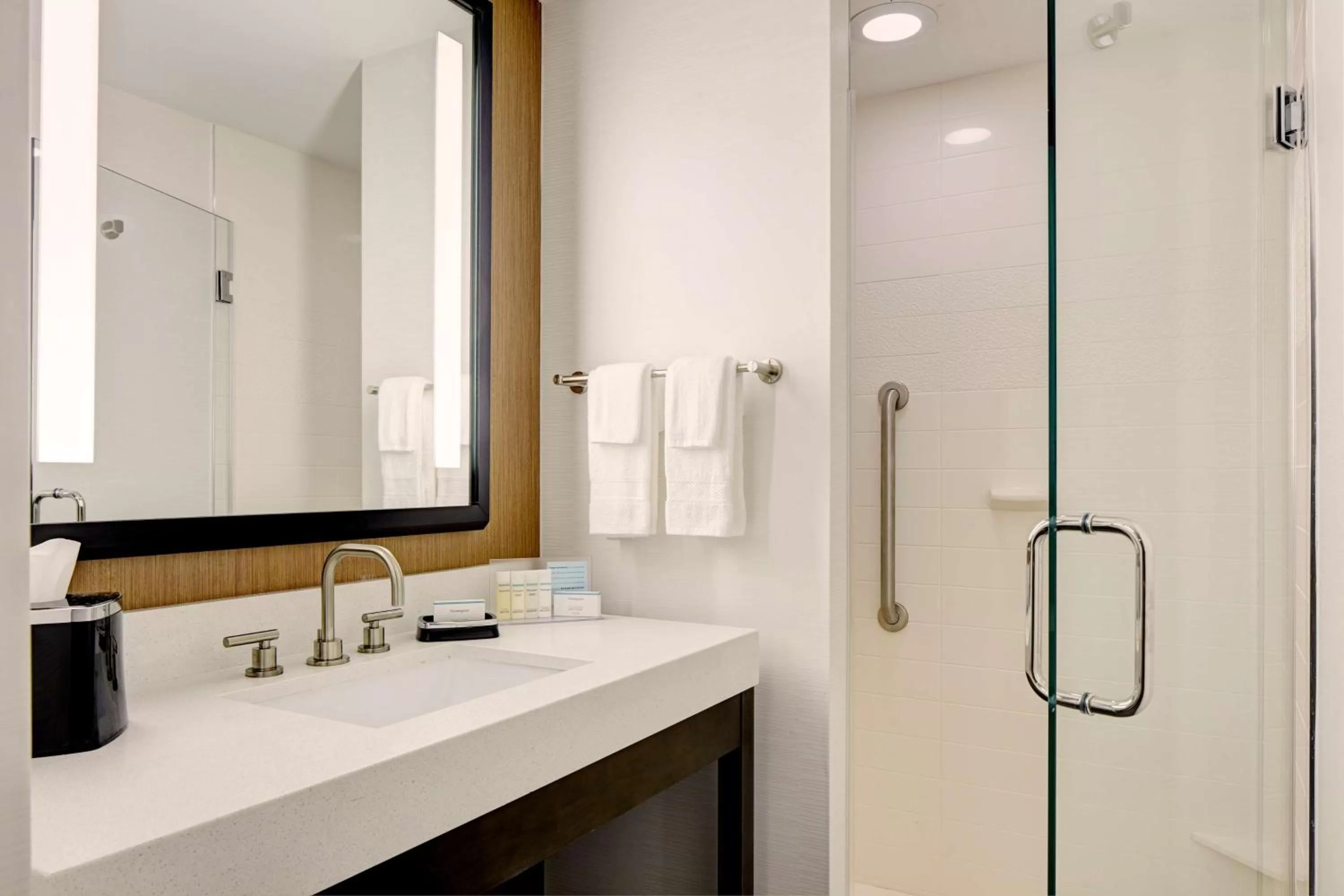 Bathroom in Hampton Inn Brooklyn Downtown