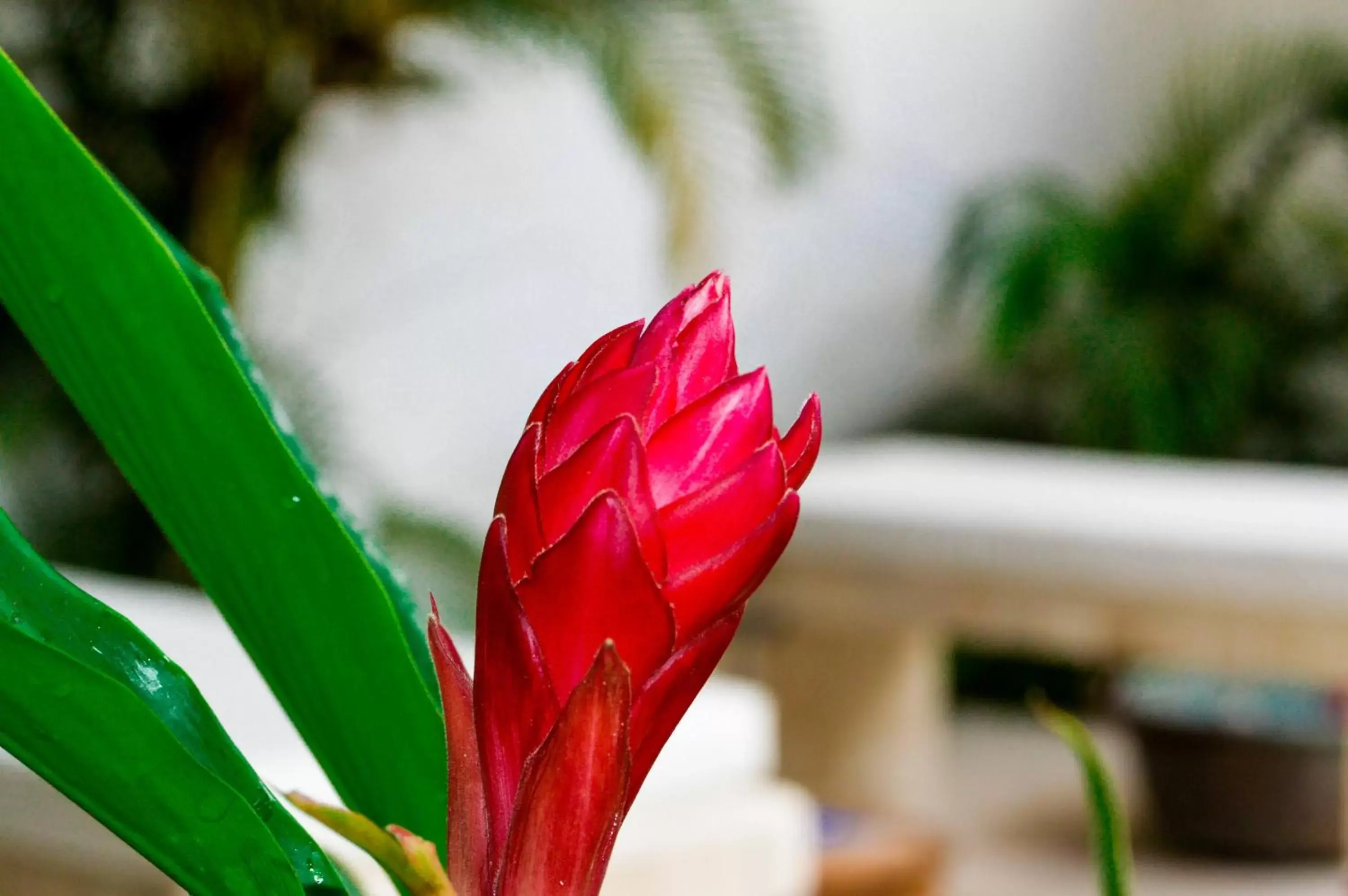 Spa and wellness centre/facilities in Hotel Aldea del Bazar & Spa Spa and wellness centre/facilities in Hotel Aldea del Bazar & Spa