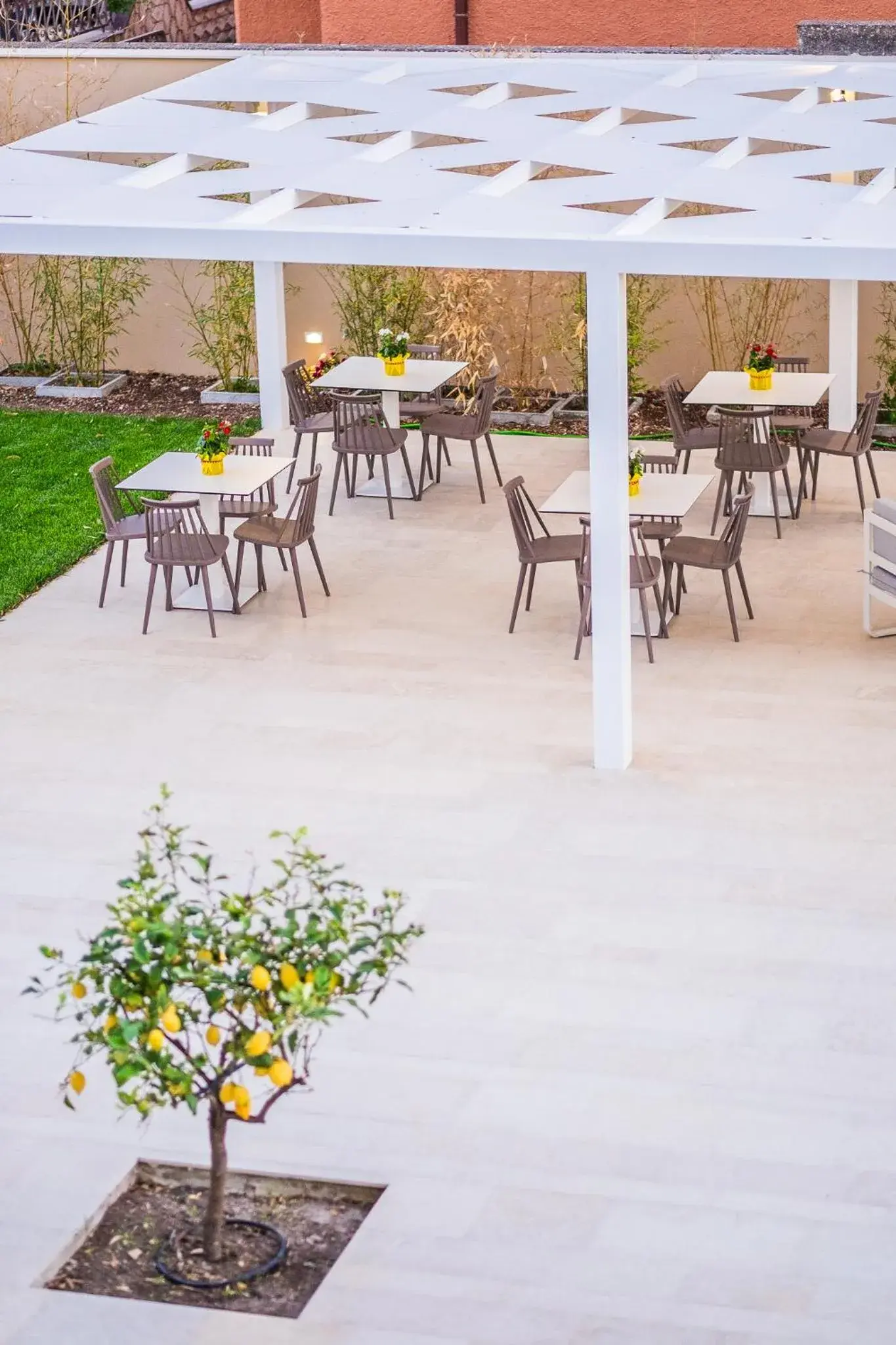 Garden view in Netum Hotel Garden view in Netum Hotel