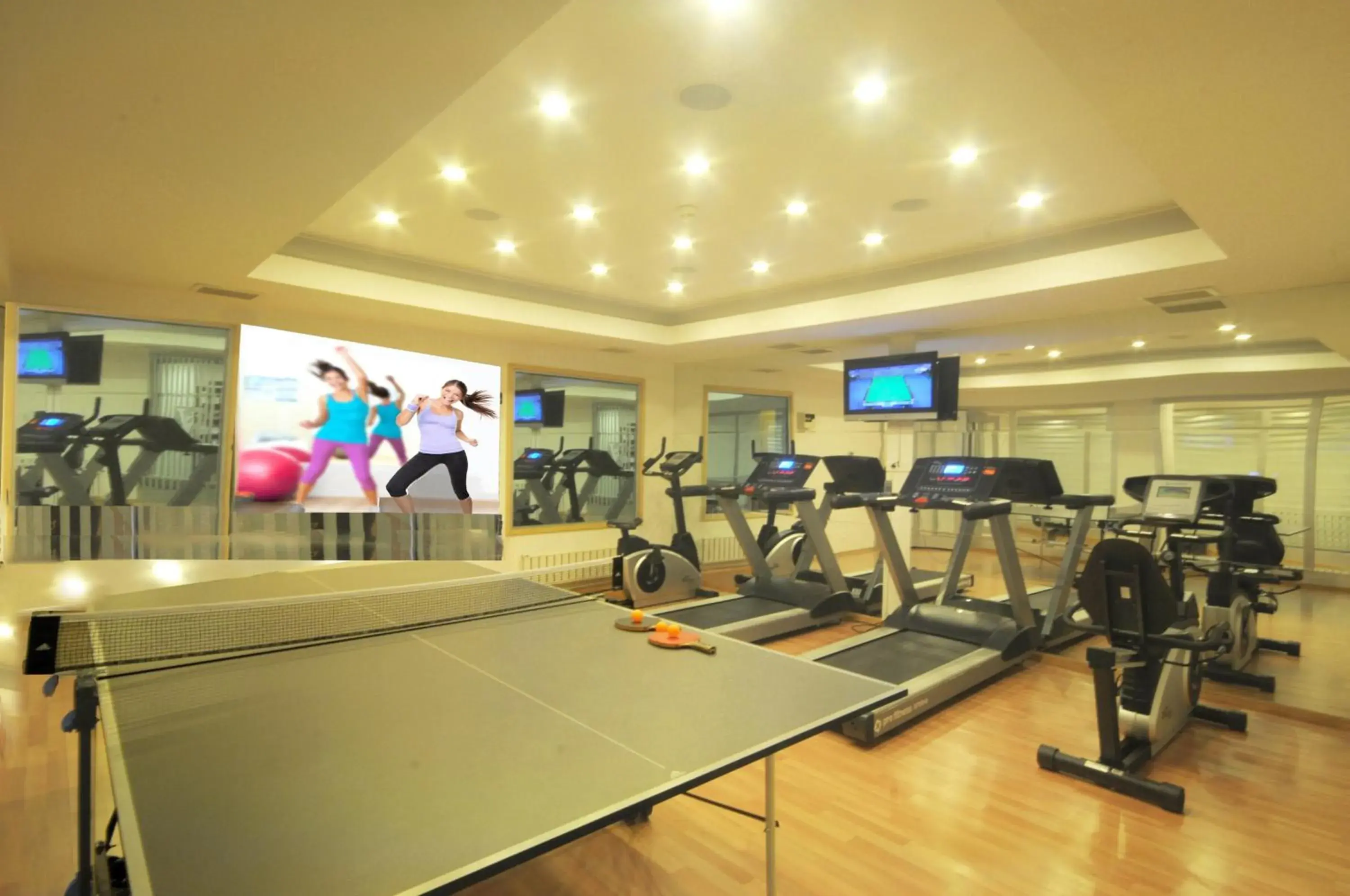 Table tennis, Fitness Center/Facilities in SV Business Hotel Diyarbakr