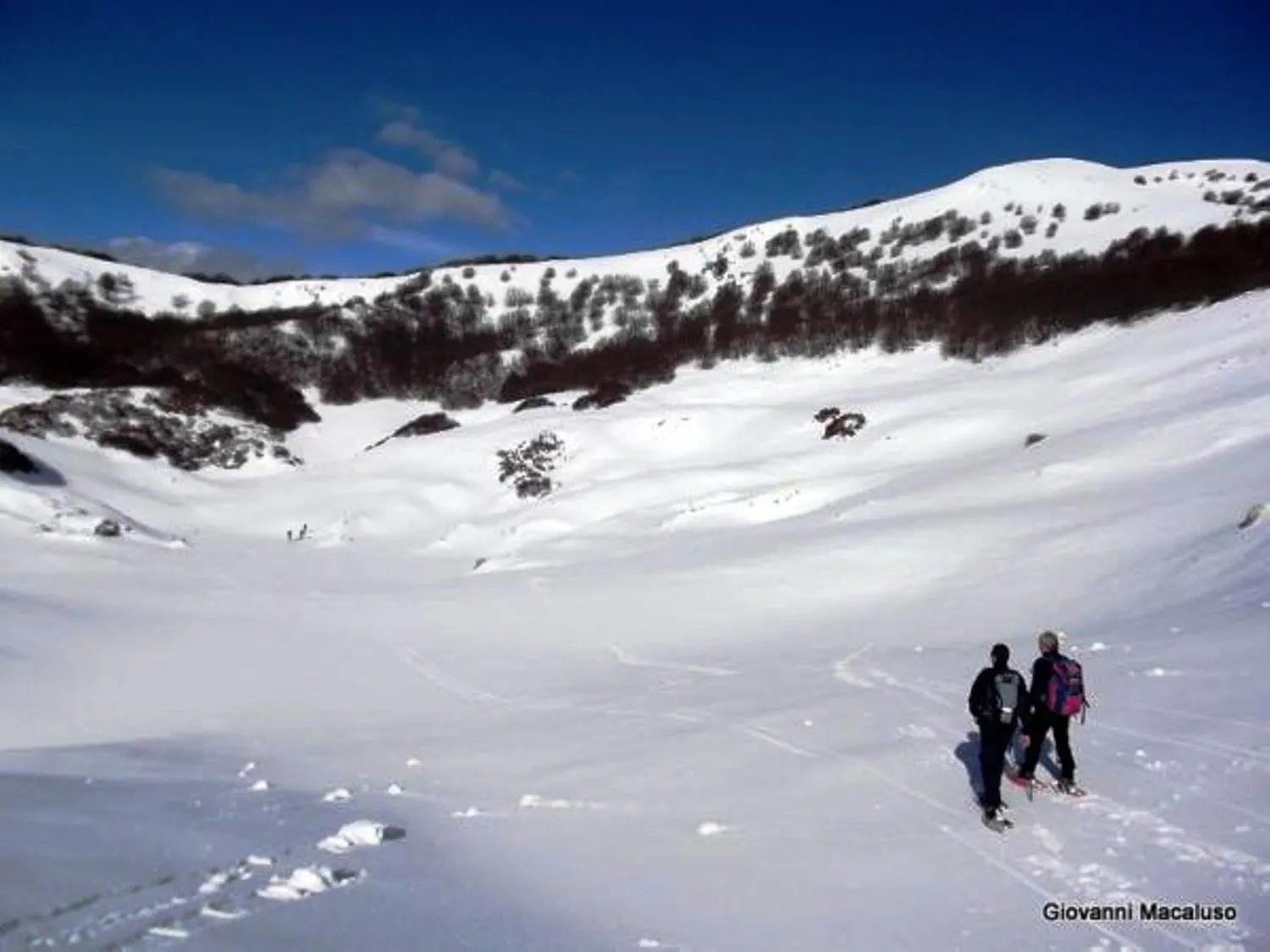 Skiing in Hotel Residenza Petra