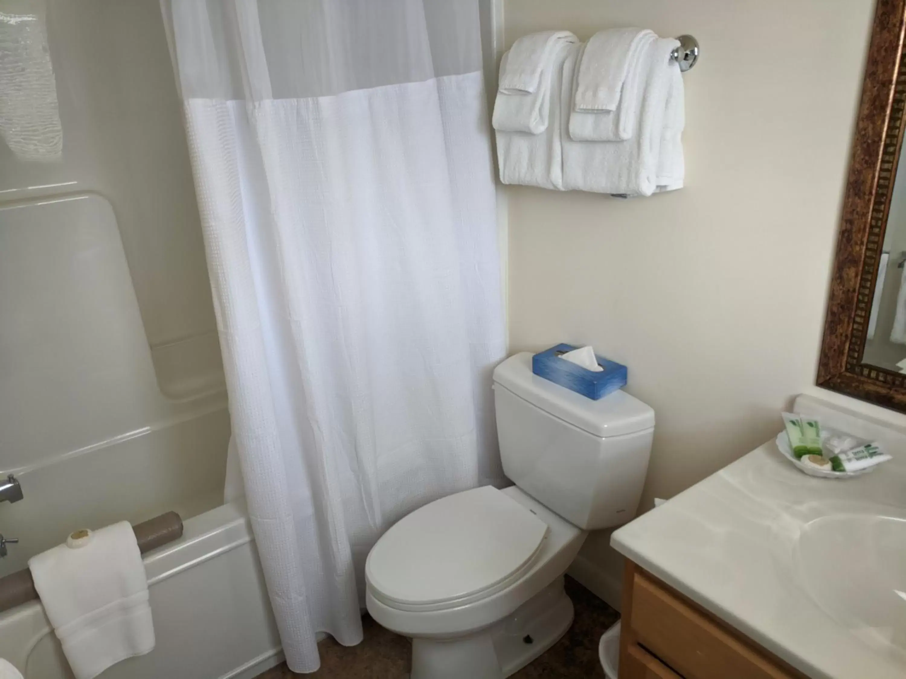 Bathroom in Stowe Motel & Snowdrift