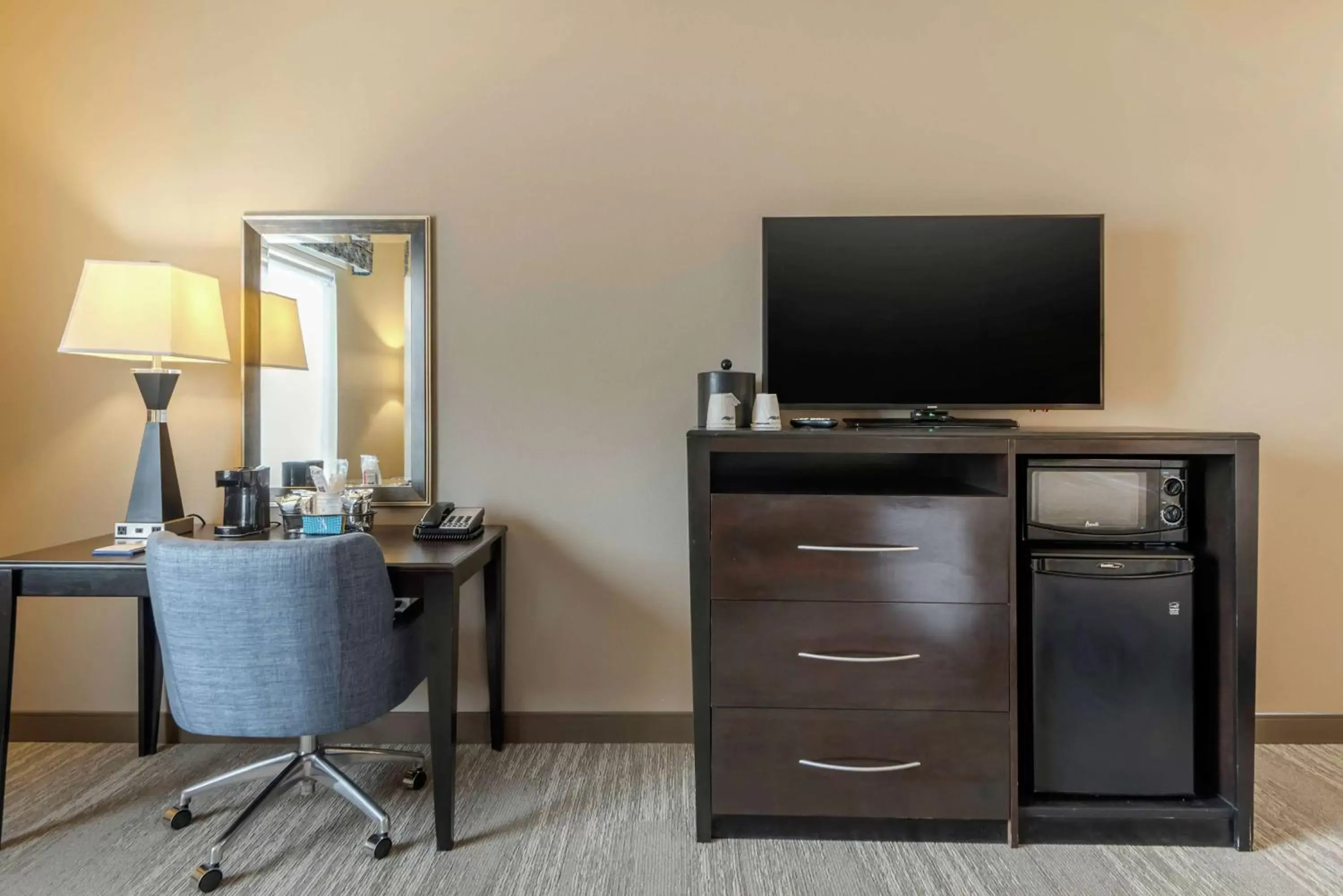 Bedroom, TV/Entertainment Center in Hampton Inn Alamosa