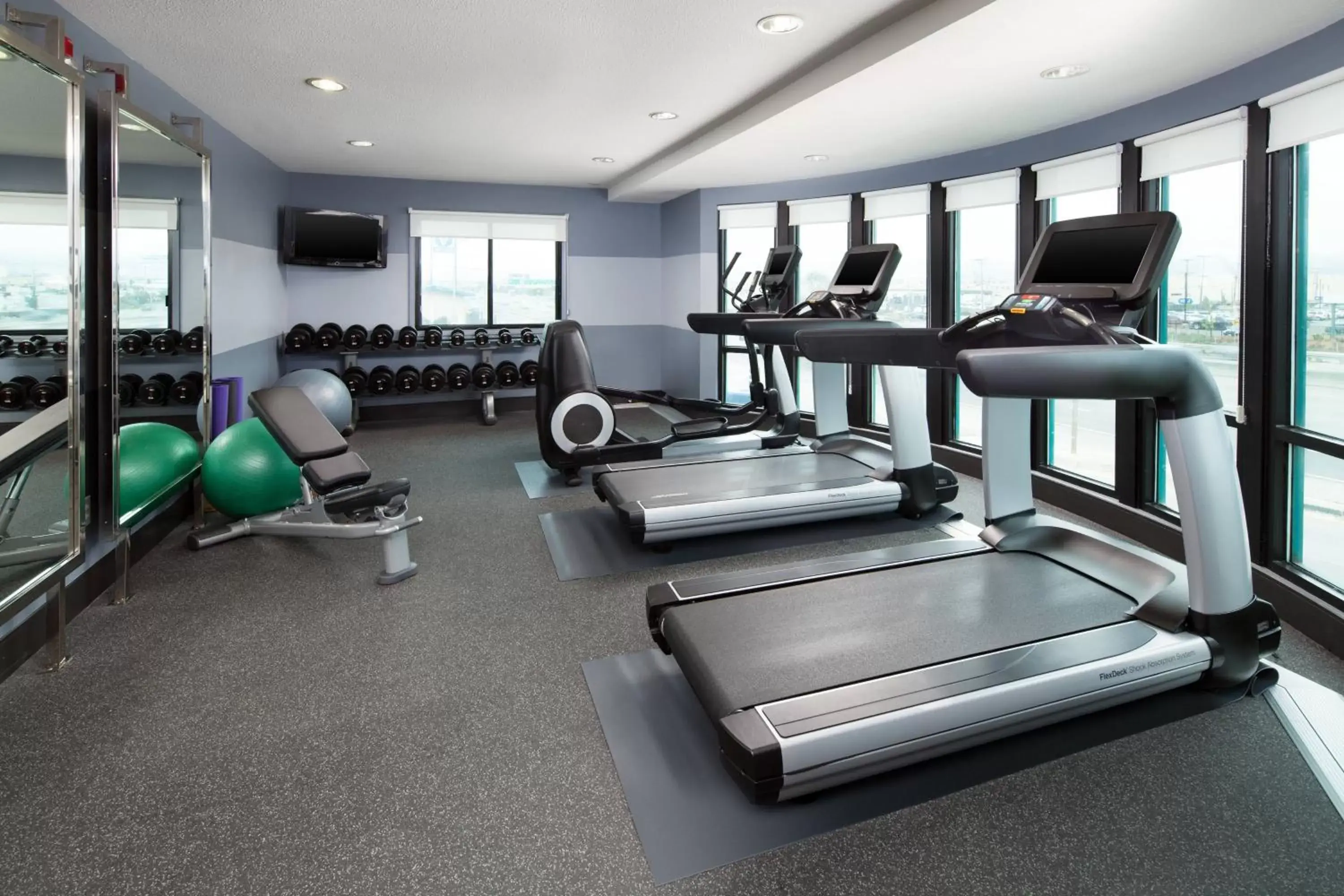 Fitness centre/facilities, Fitness Center/Facilities in Four Points by Sheraton - San Francisco Airport