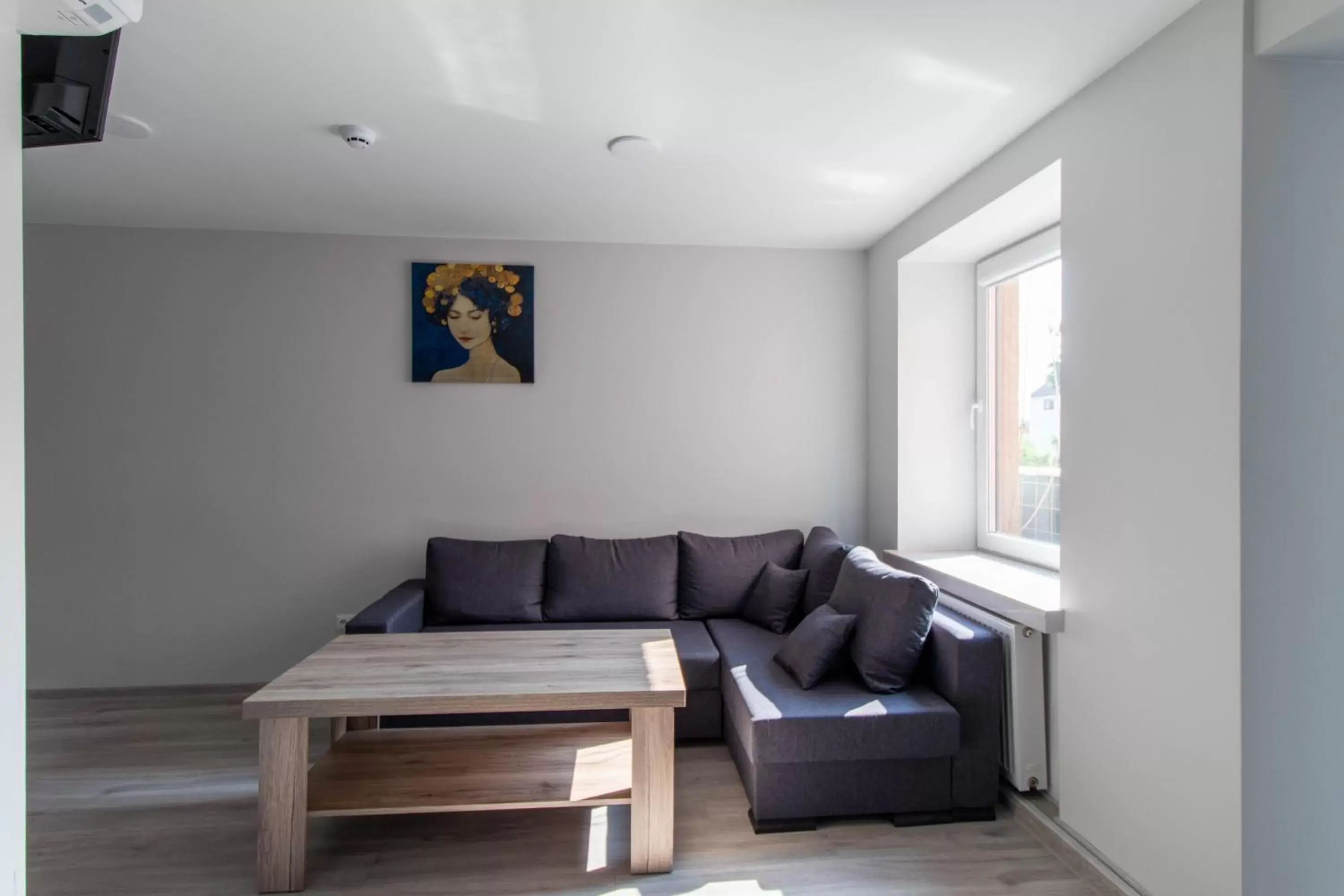 One-Bedroom Apartment in Dzukija Hotel One-Bedroom Apartment in Dzukija Hotel