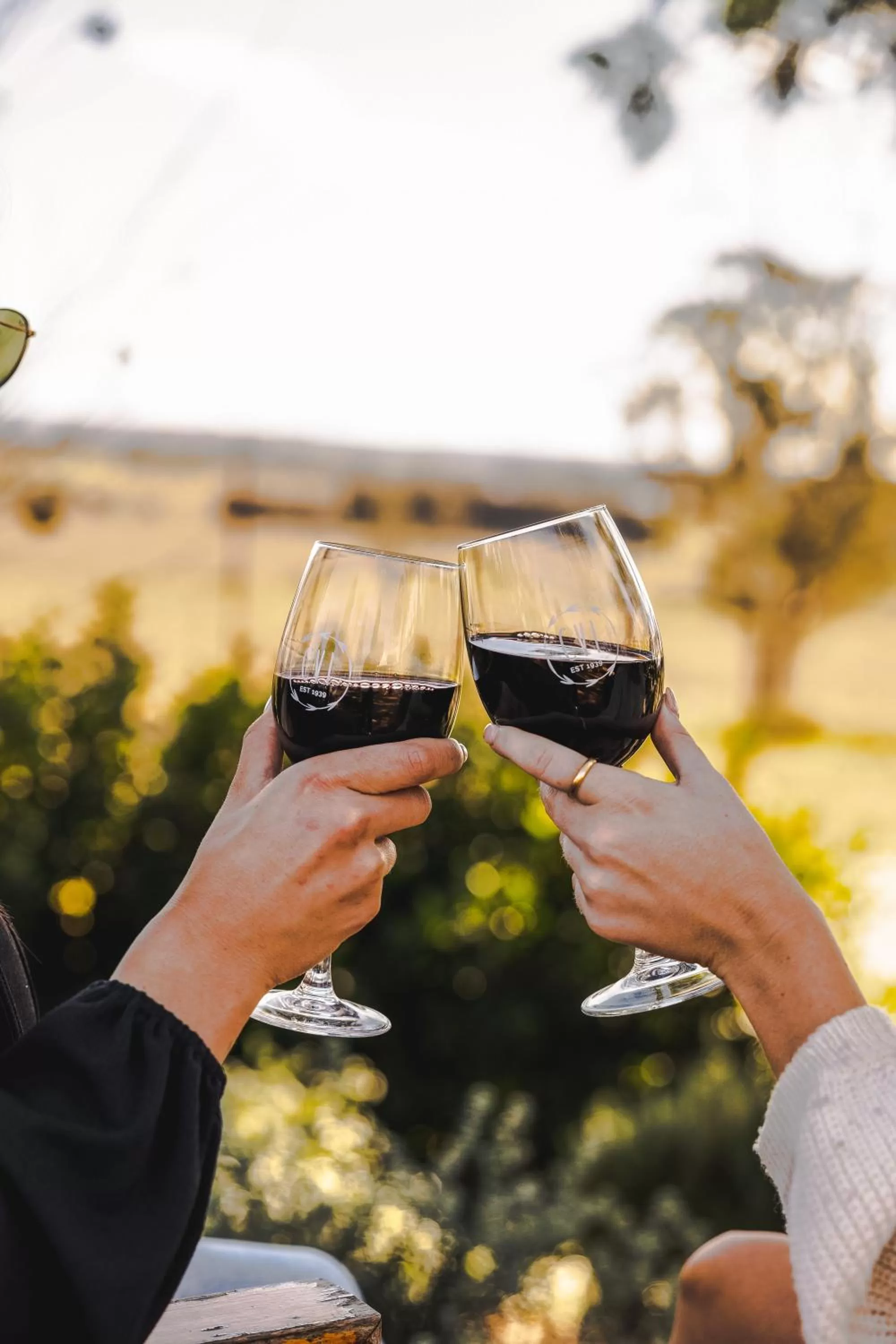 Alcoholic drinks in Camden Valley Inn