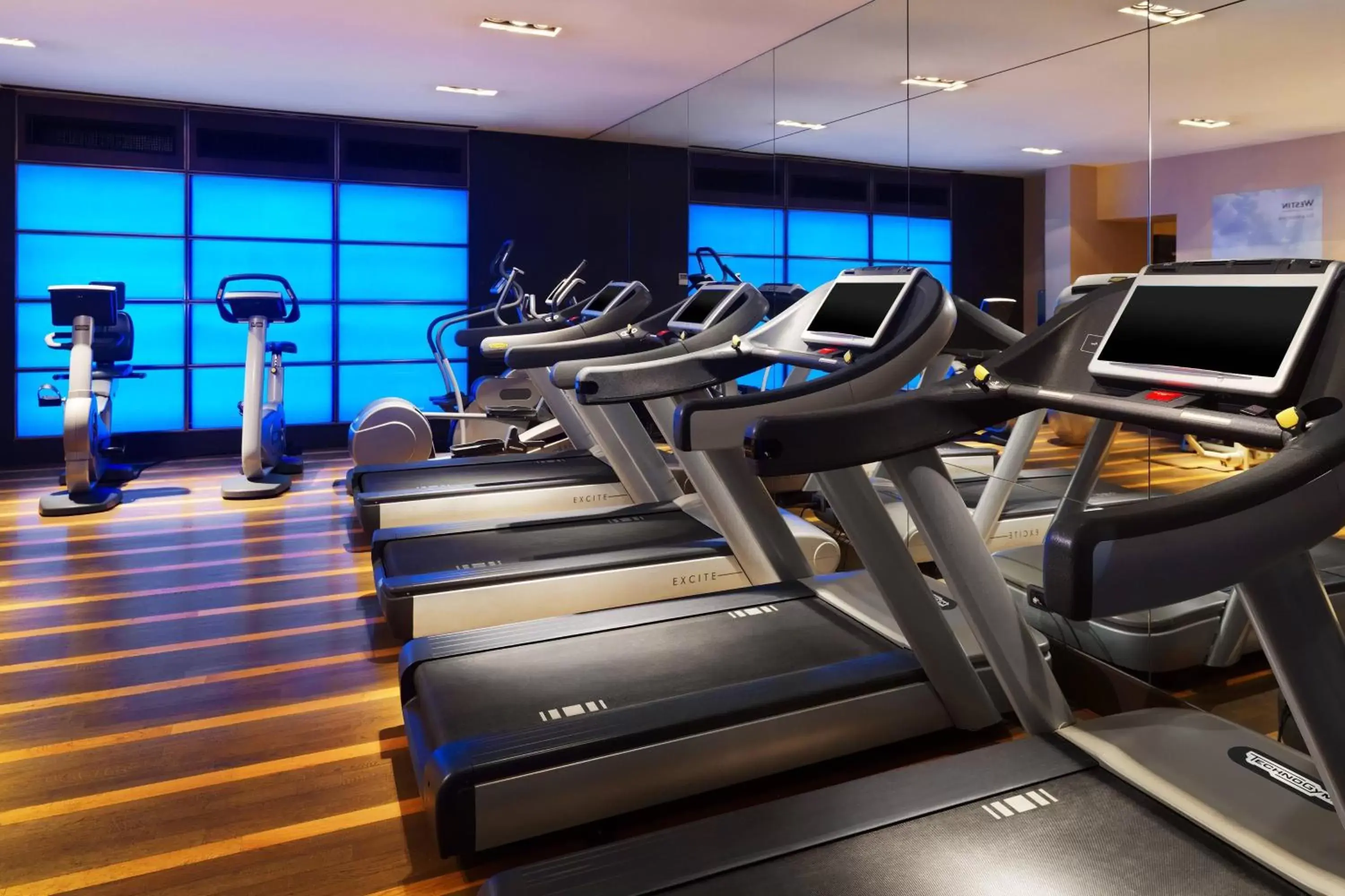 Fitness centre/facilities, Fitness Center/Facilities in The Westin Palace, Milan
