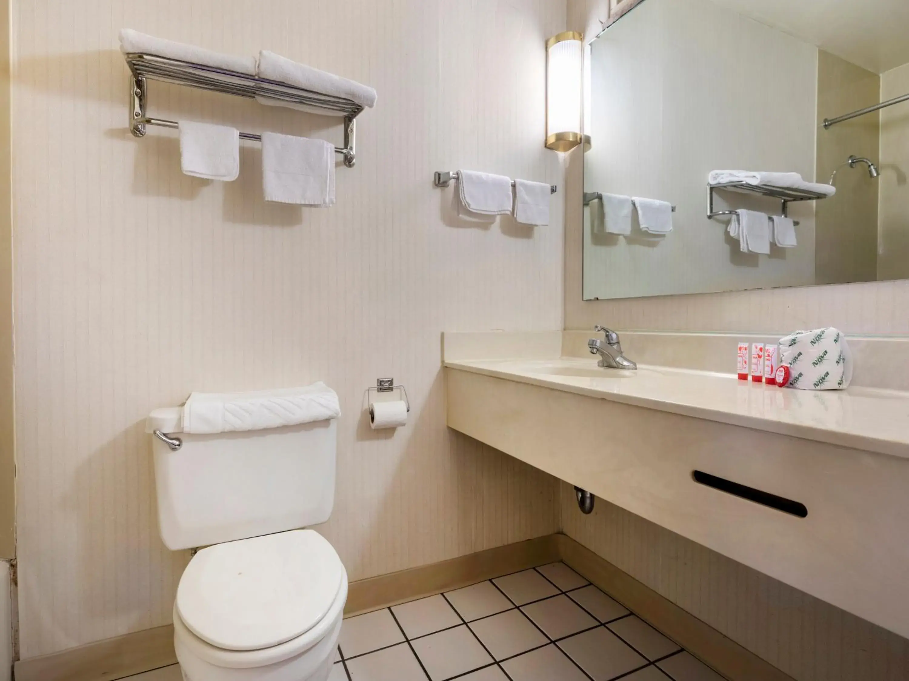 Bathroom in Mansion View Inn & Suites