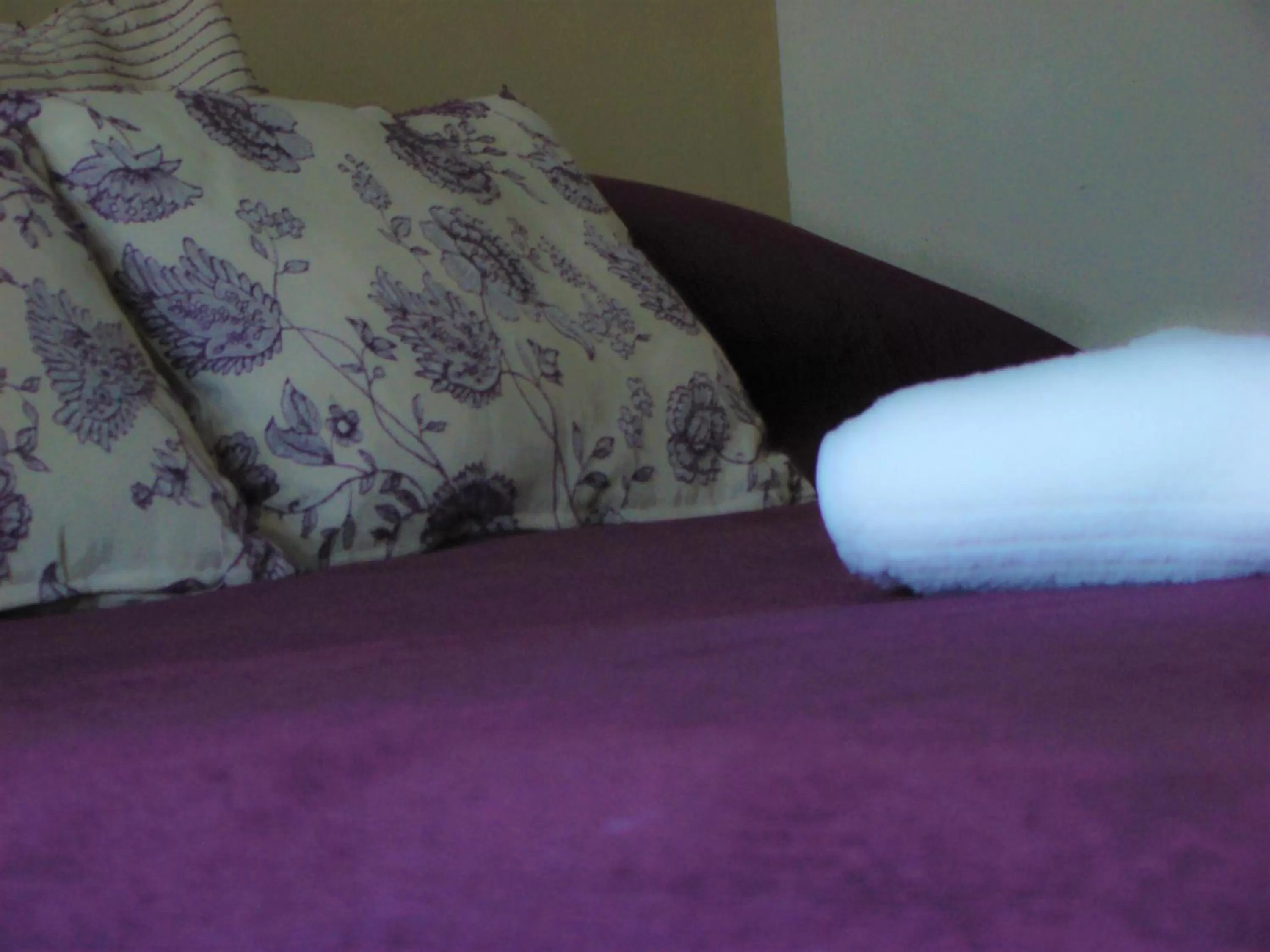 Bed in Petit Recoleta Suites