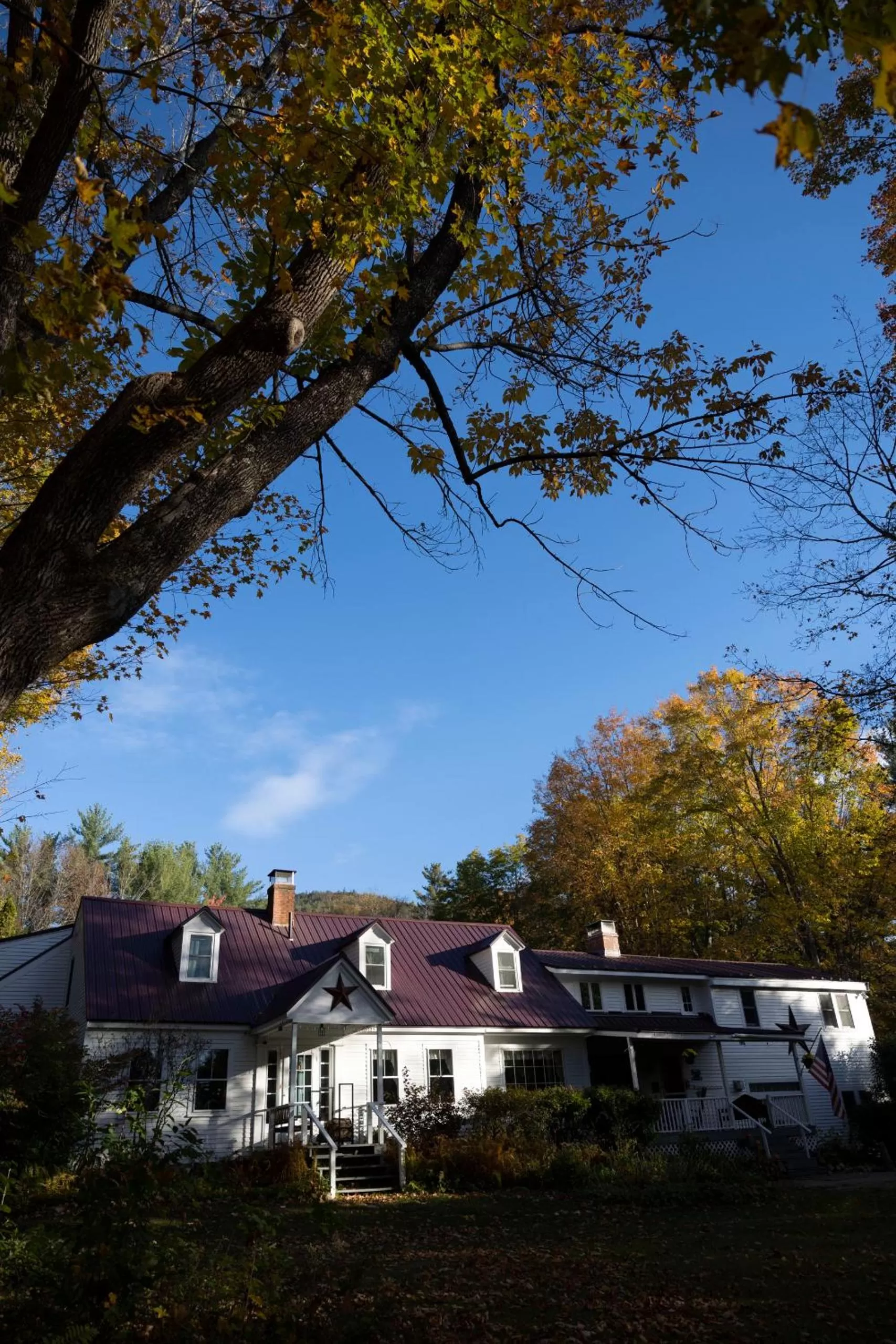 Property building in Buttonwood Inn on Mount Surprise