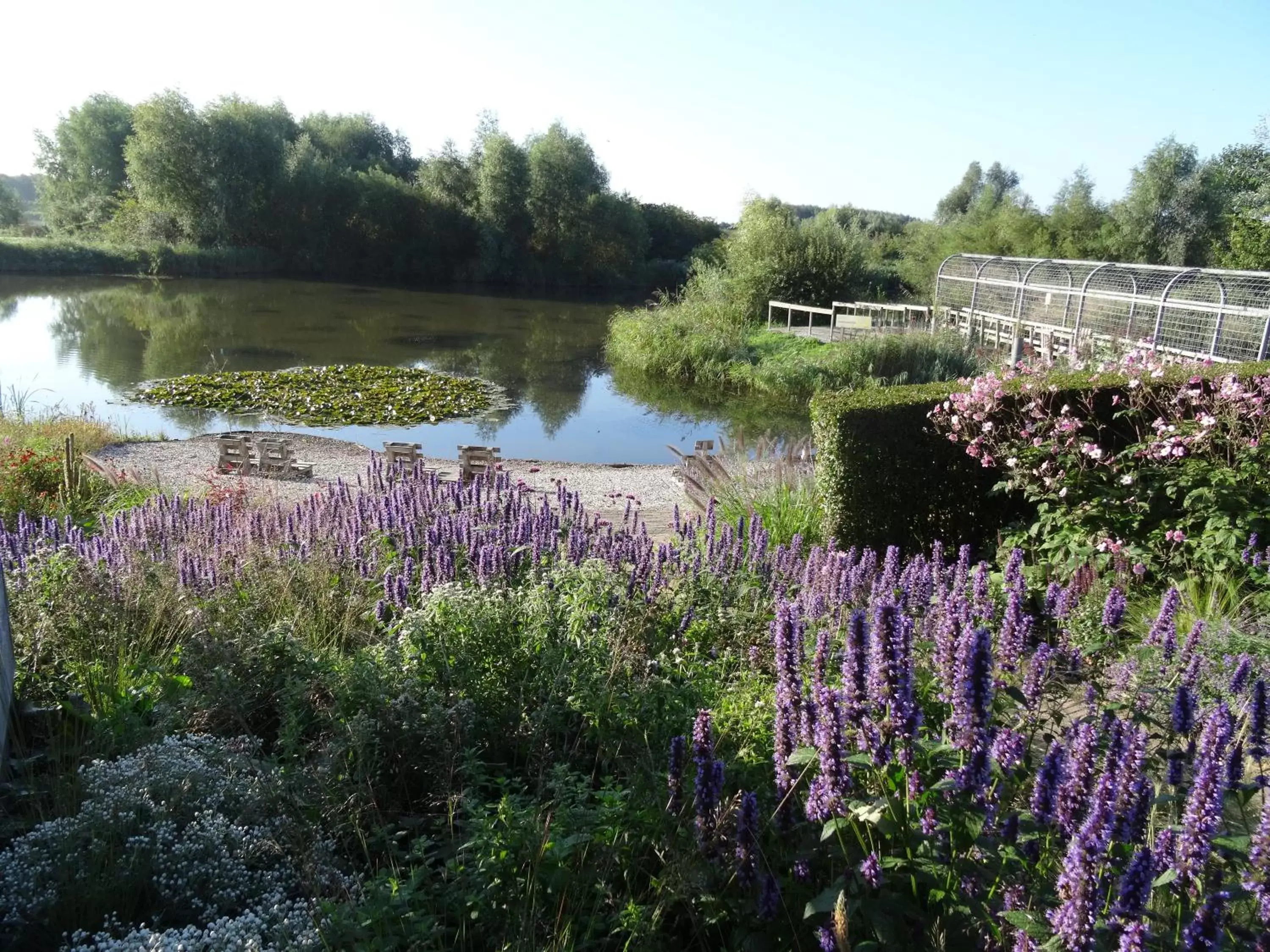 Garden, Natural Landscape in Hajé Hotel Restaurant de Lepelaar