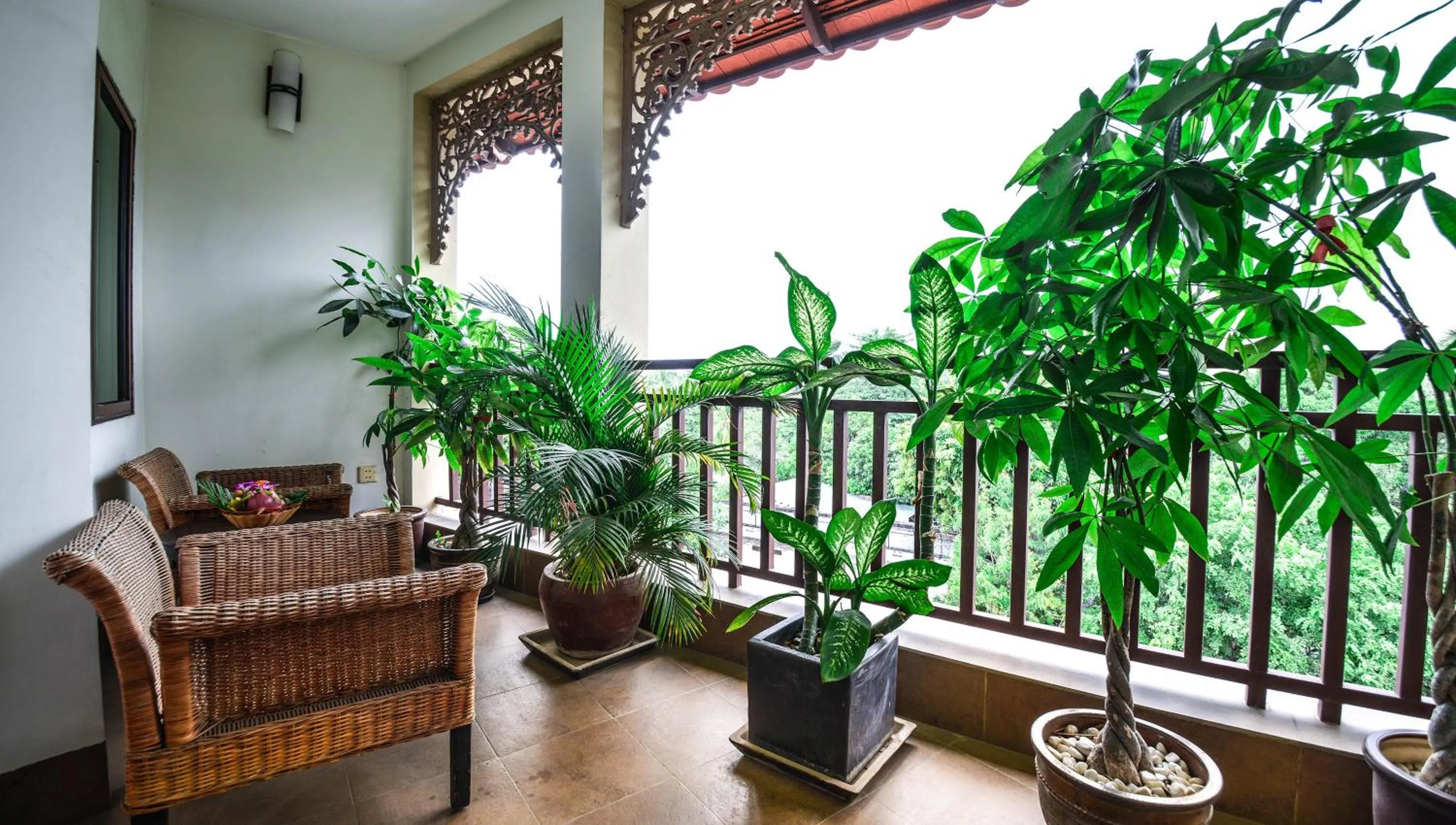 Patio in Almond Hotel Sothearos