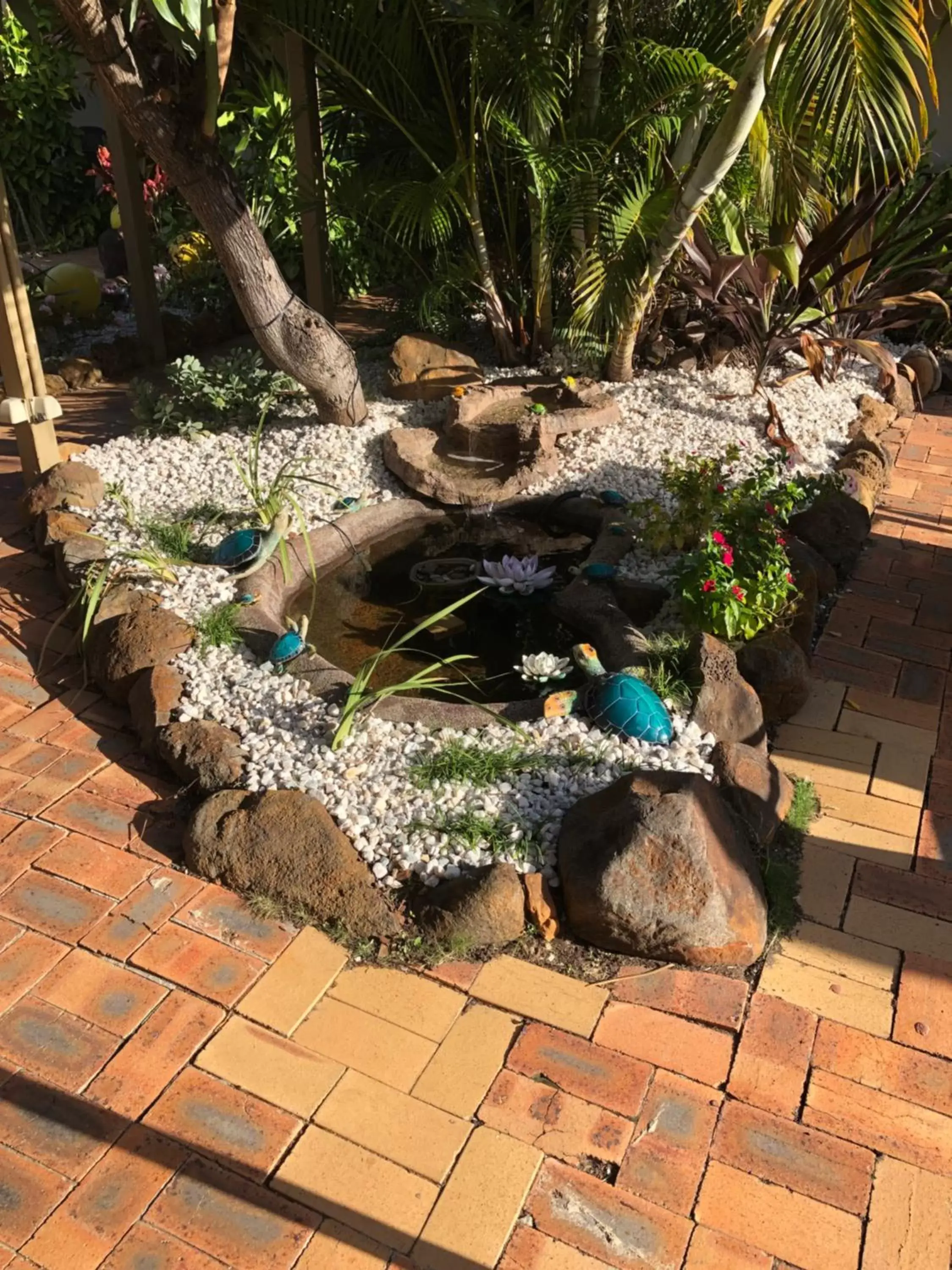 Garden in Bundaberg Coral Villa Motor Inn