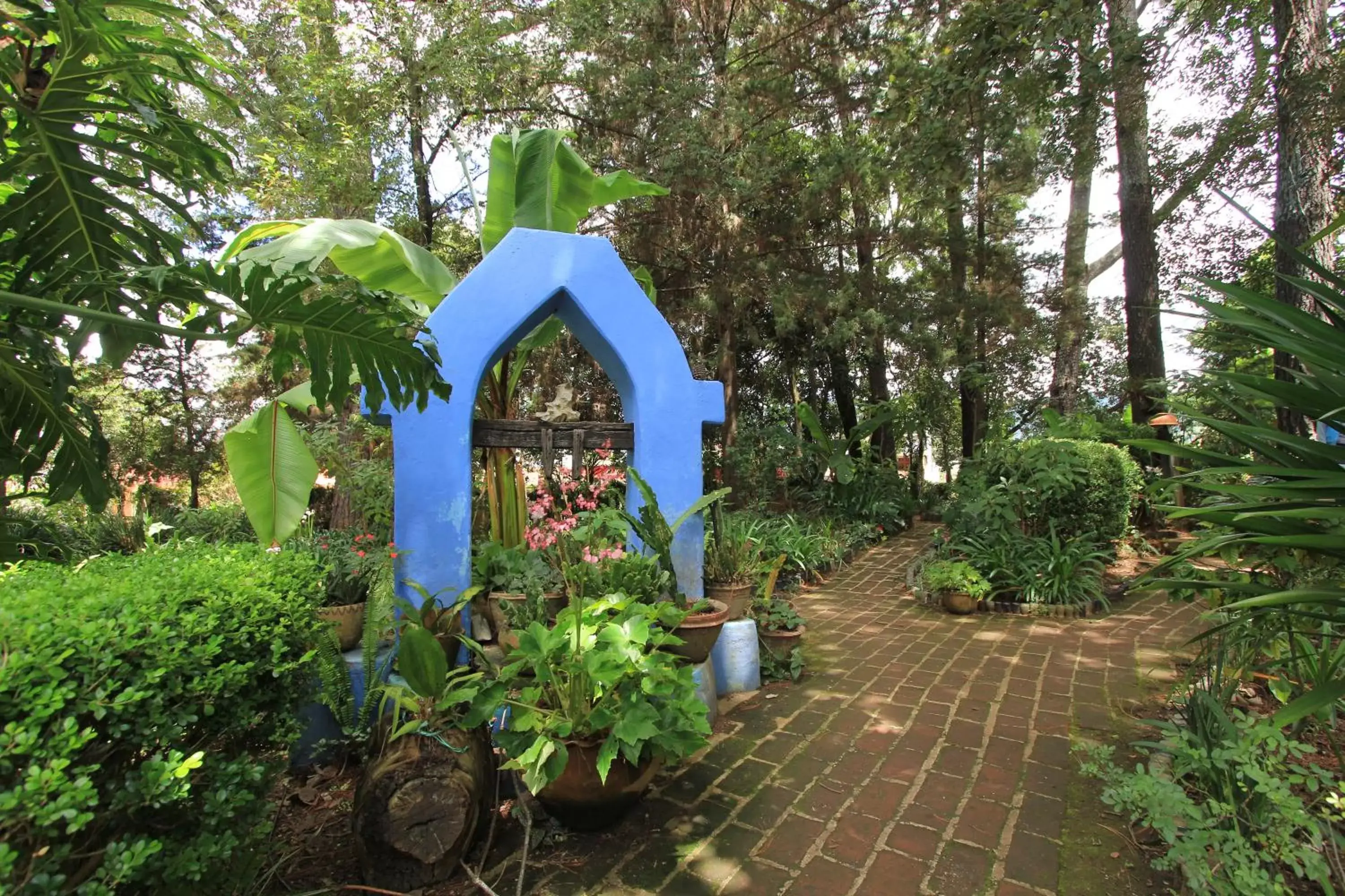 Garden view in Hotel Na Bolom