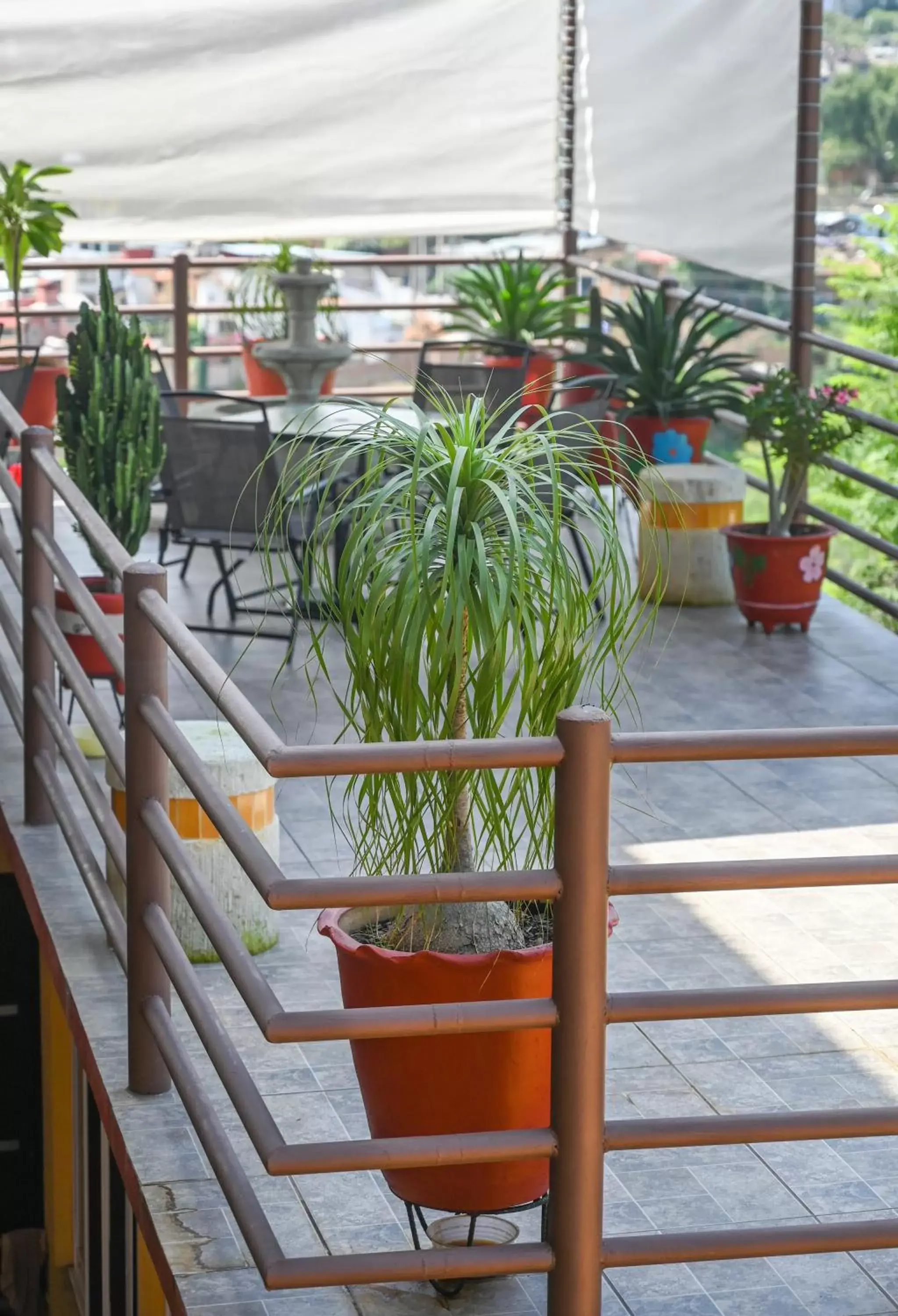 Solarium, Balcony/Terrace in Casa LEONOR