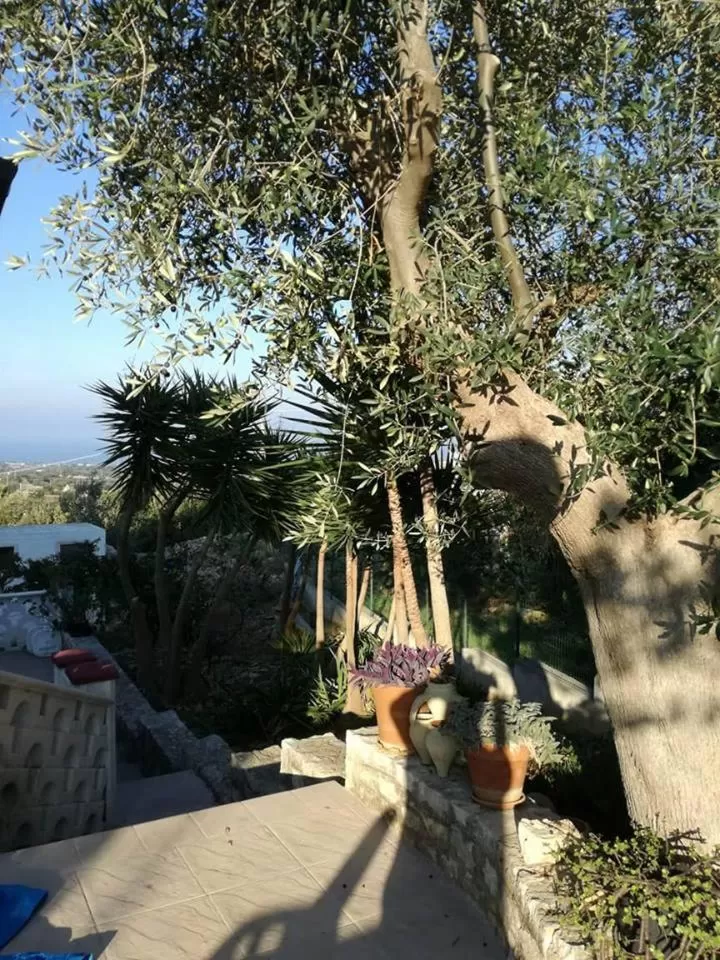 Garden in Le Dimore Del Sarto Polignano a mare