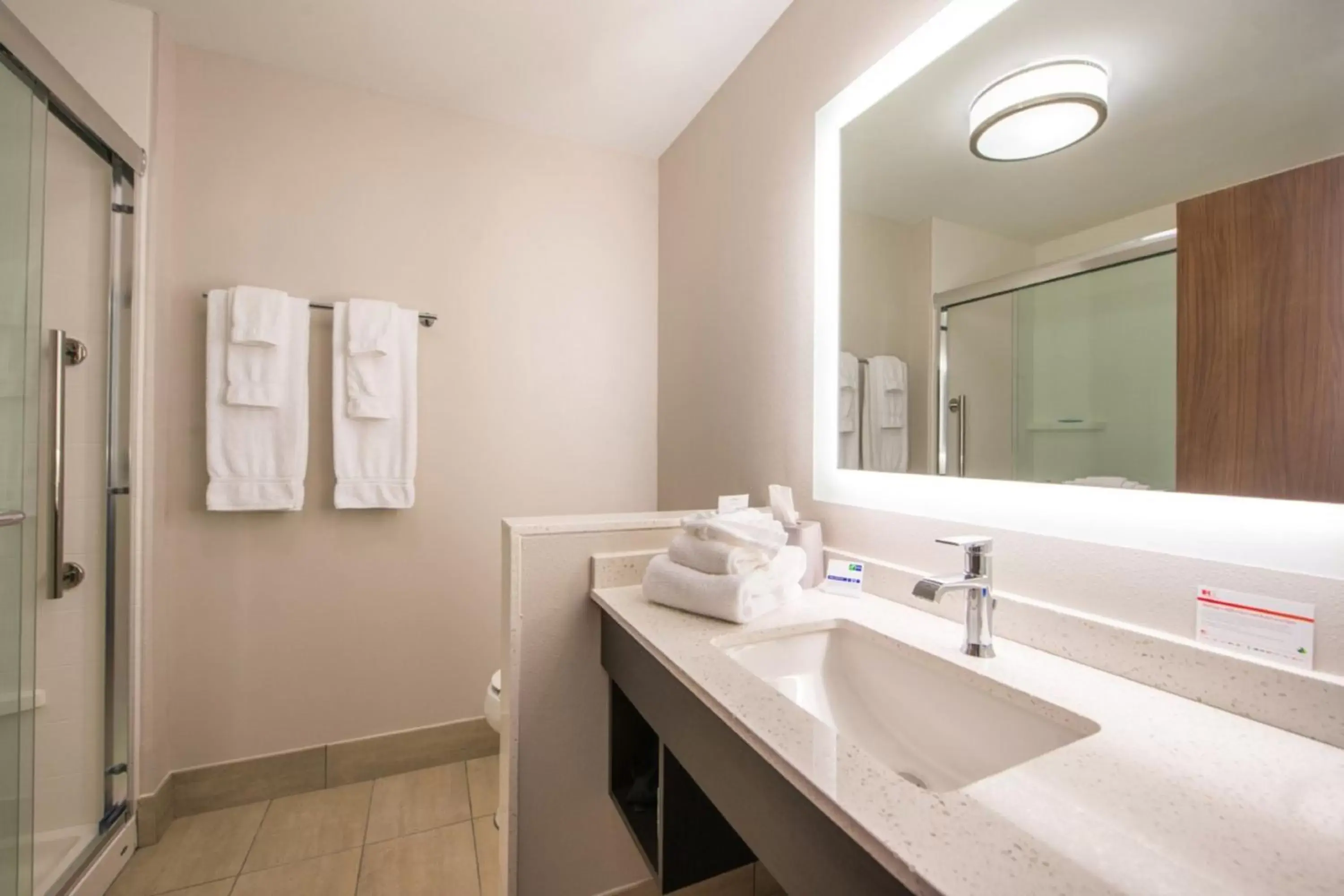 Bathroom in Holiday Inn Express & Suites - Tampa North - Wesley Chapel, an IHG Hotel