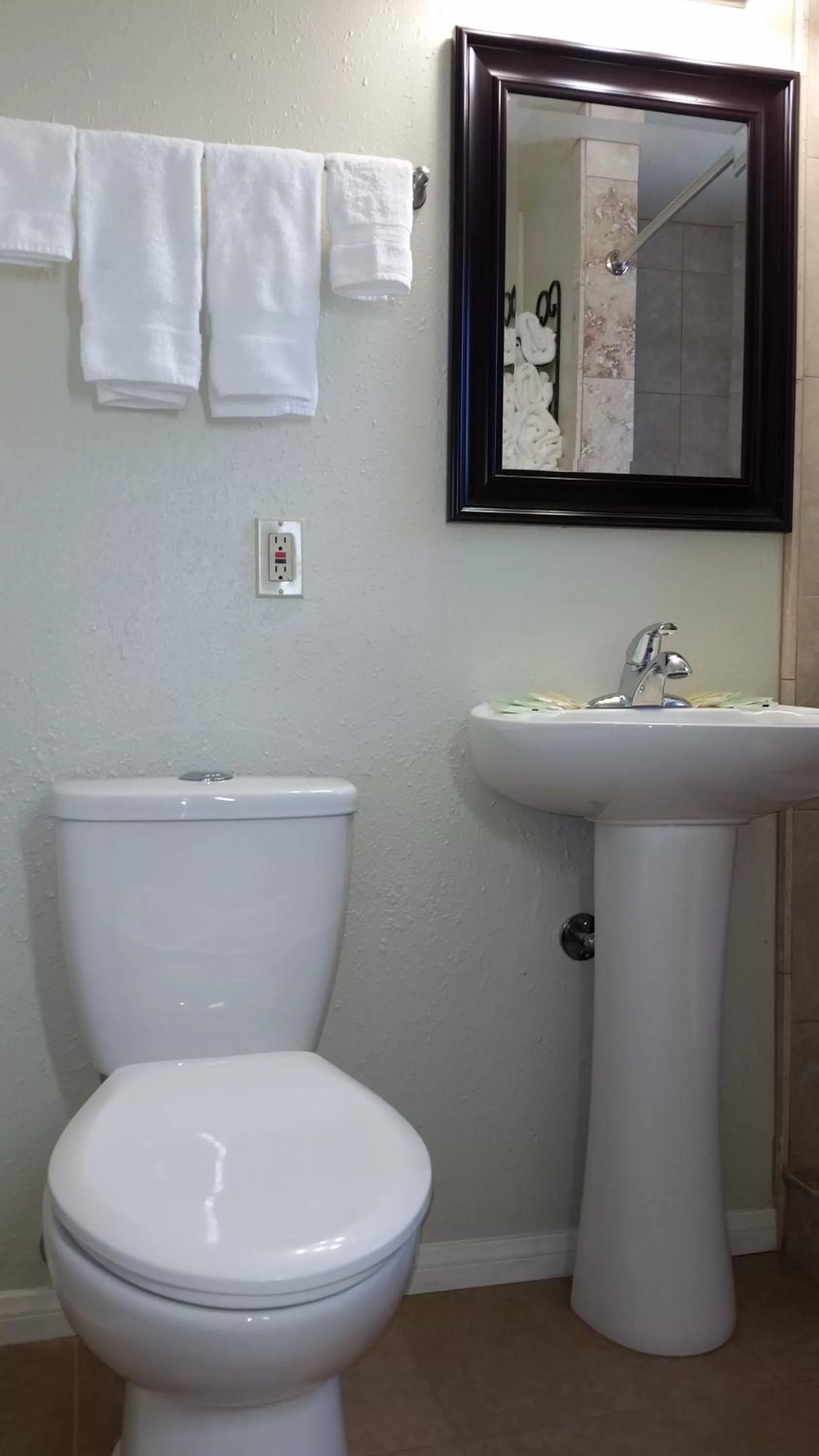 Toilet in Trees Motel