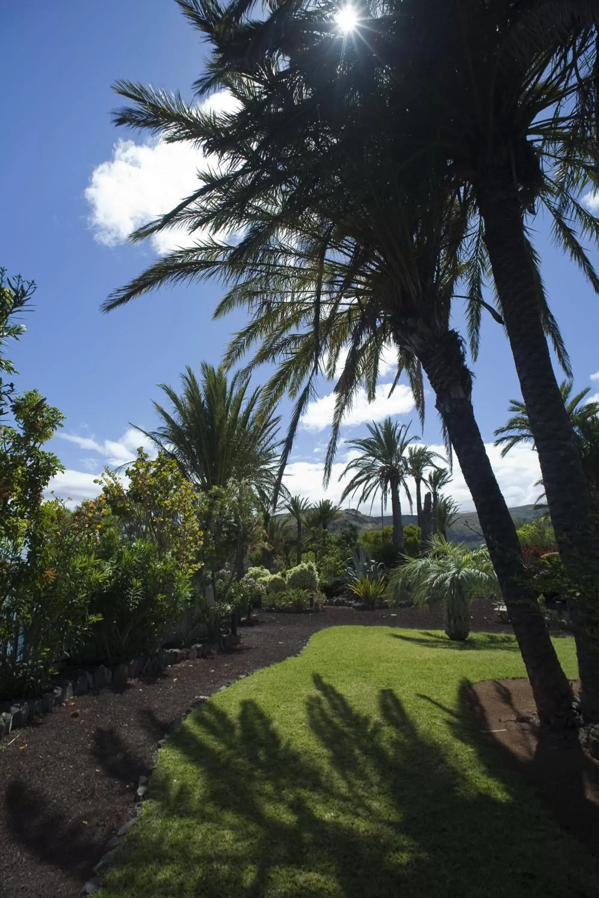 Garden in Parador de La Gomera