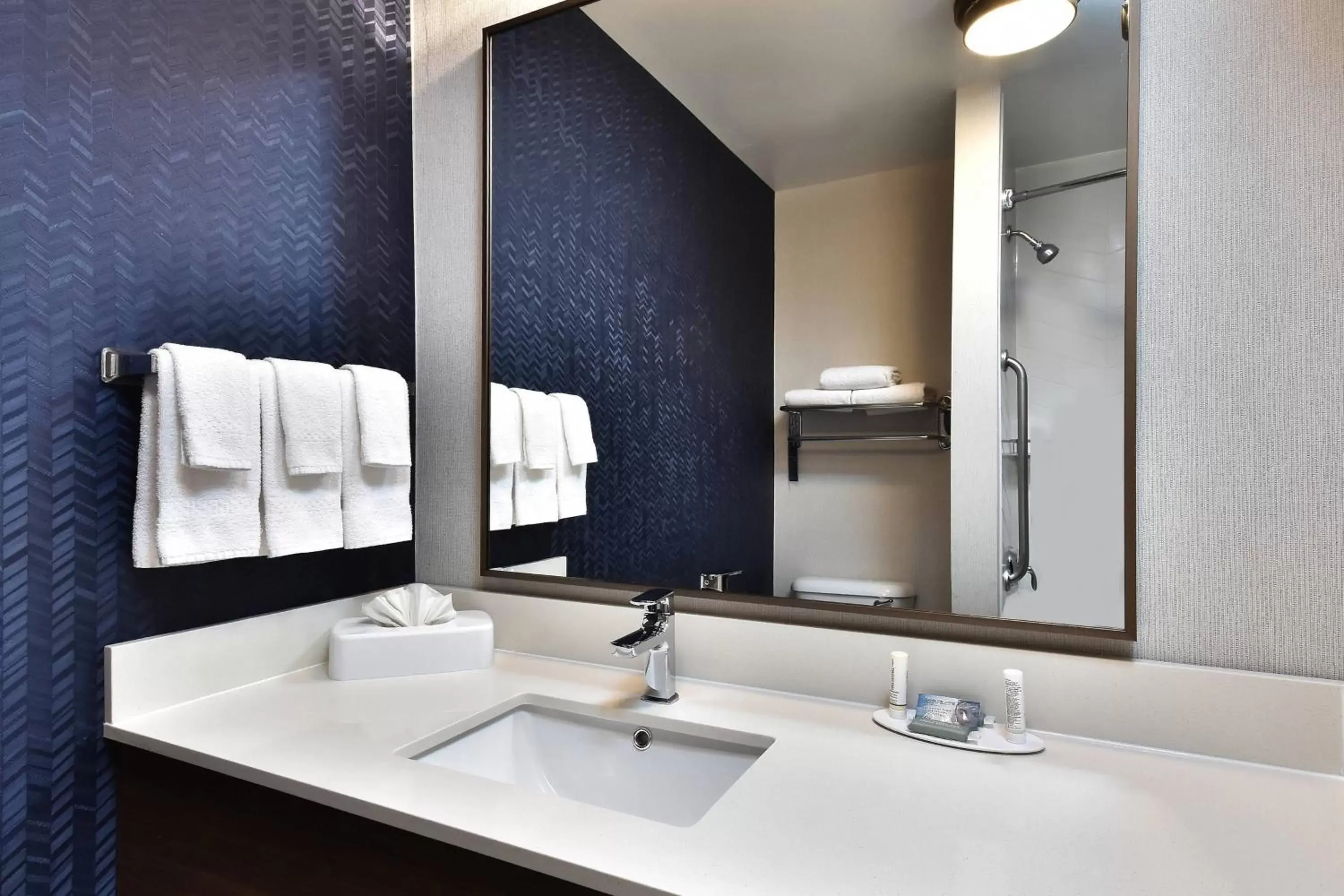 Bathroom in Fairfield Inn & Suites by Marriott Richmond Innsbrook