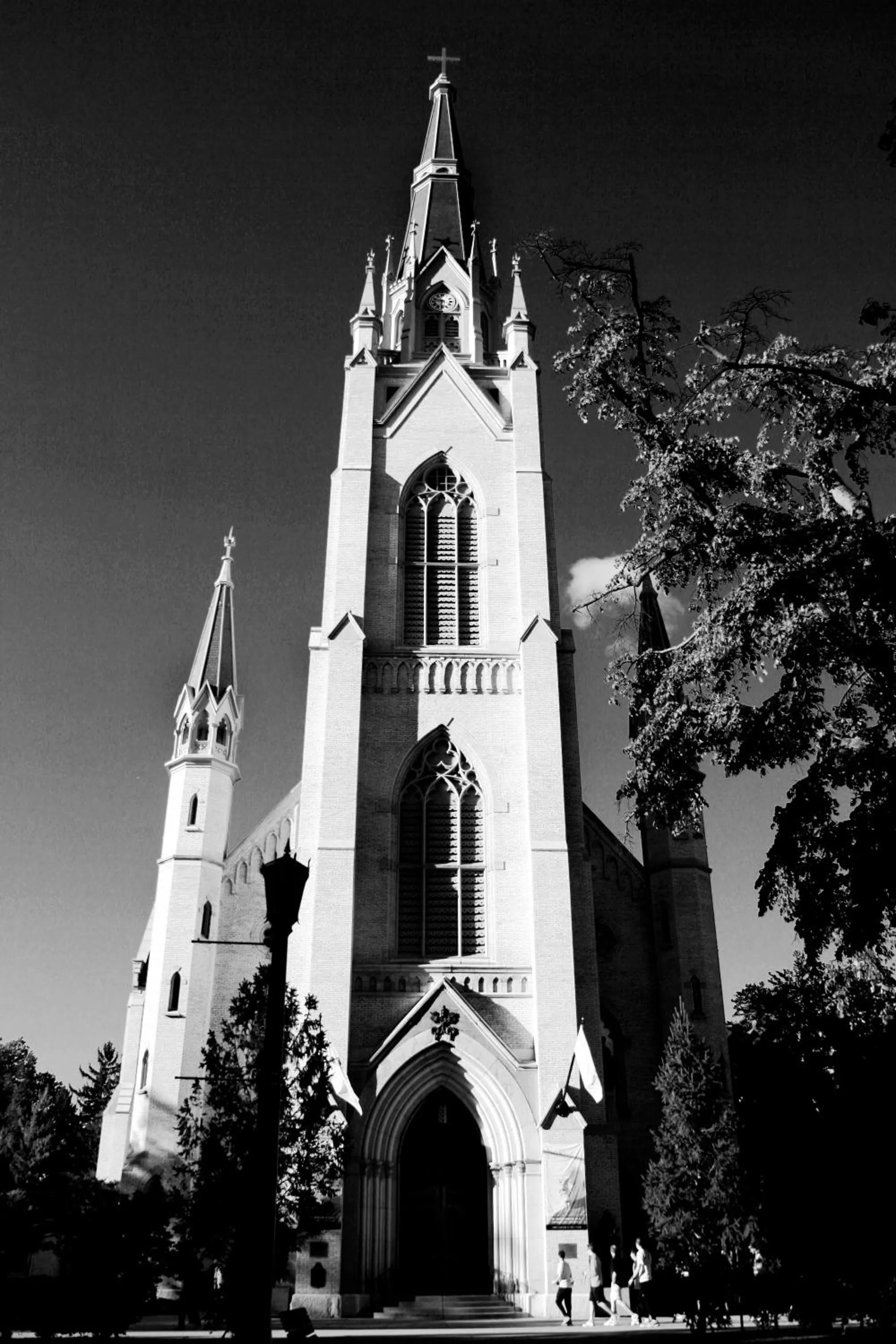 Property building in Larkspur Landing South Bend