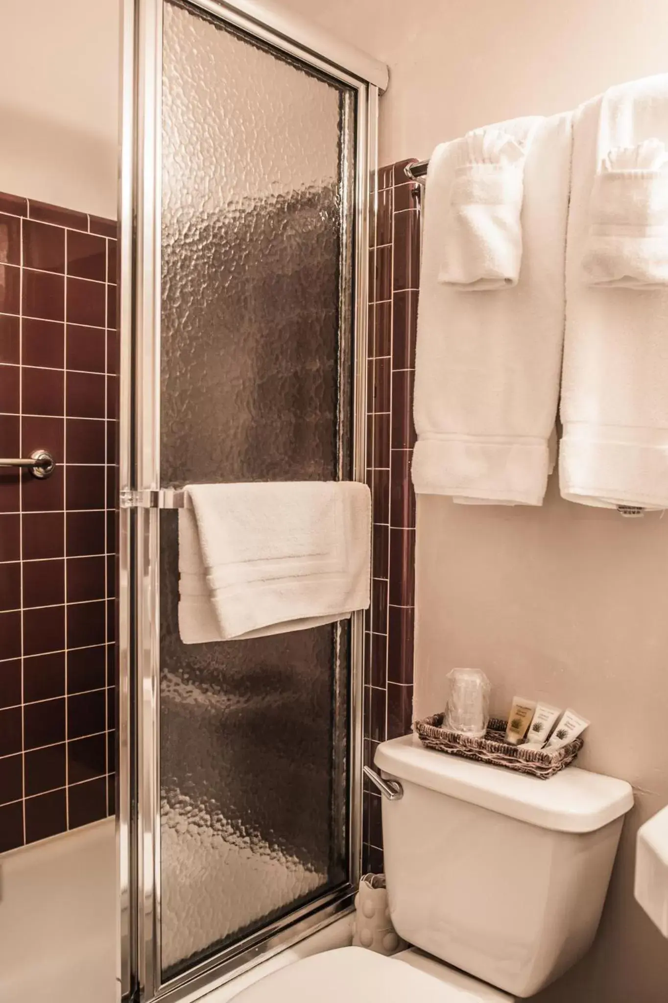 Shower, Bathroom in Weatherford Hotel
