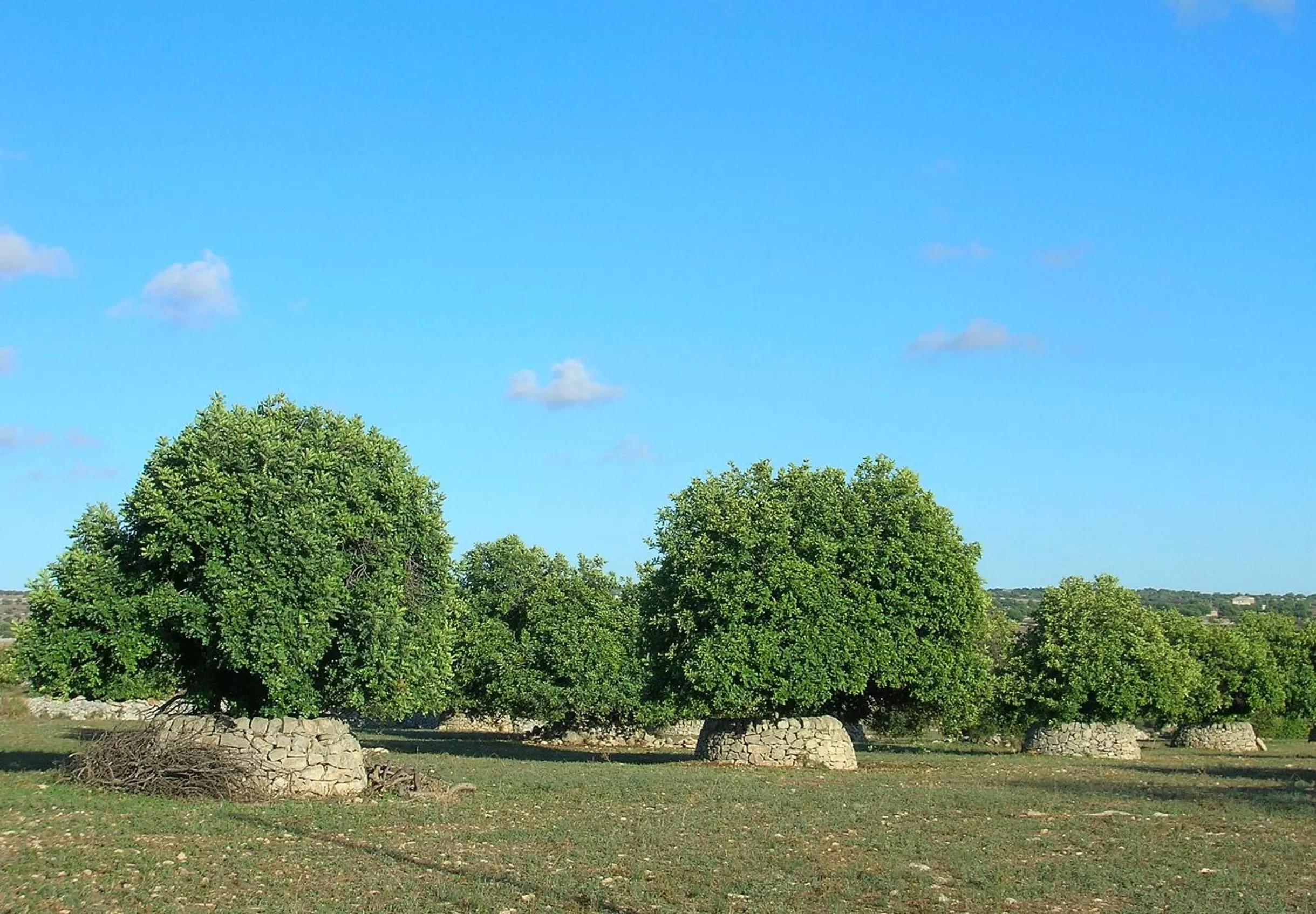 Golfcourse in Casa Vacanze Sogno Siciliano