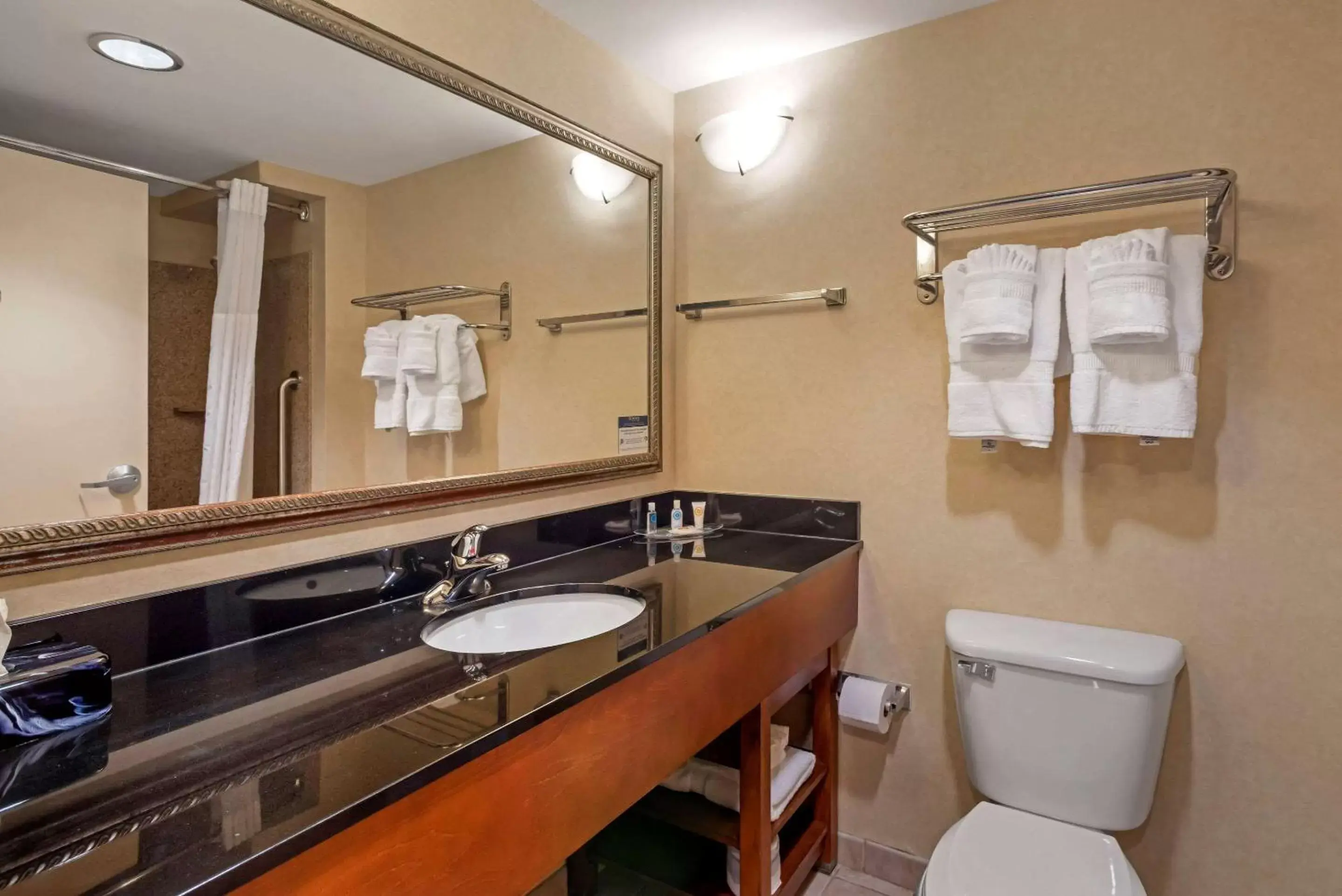 Photo of the whole room, Bathroom in Comfort Suites Fredericksburg North